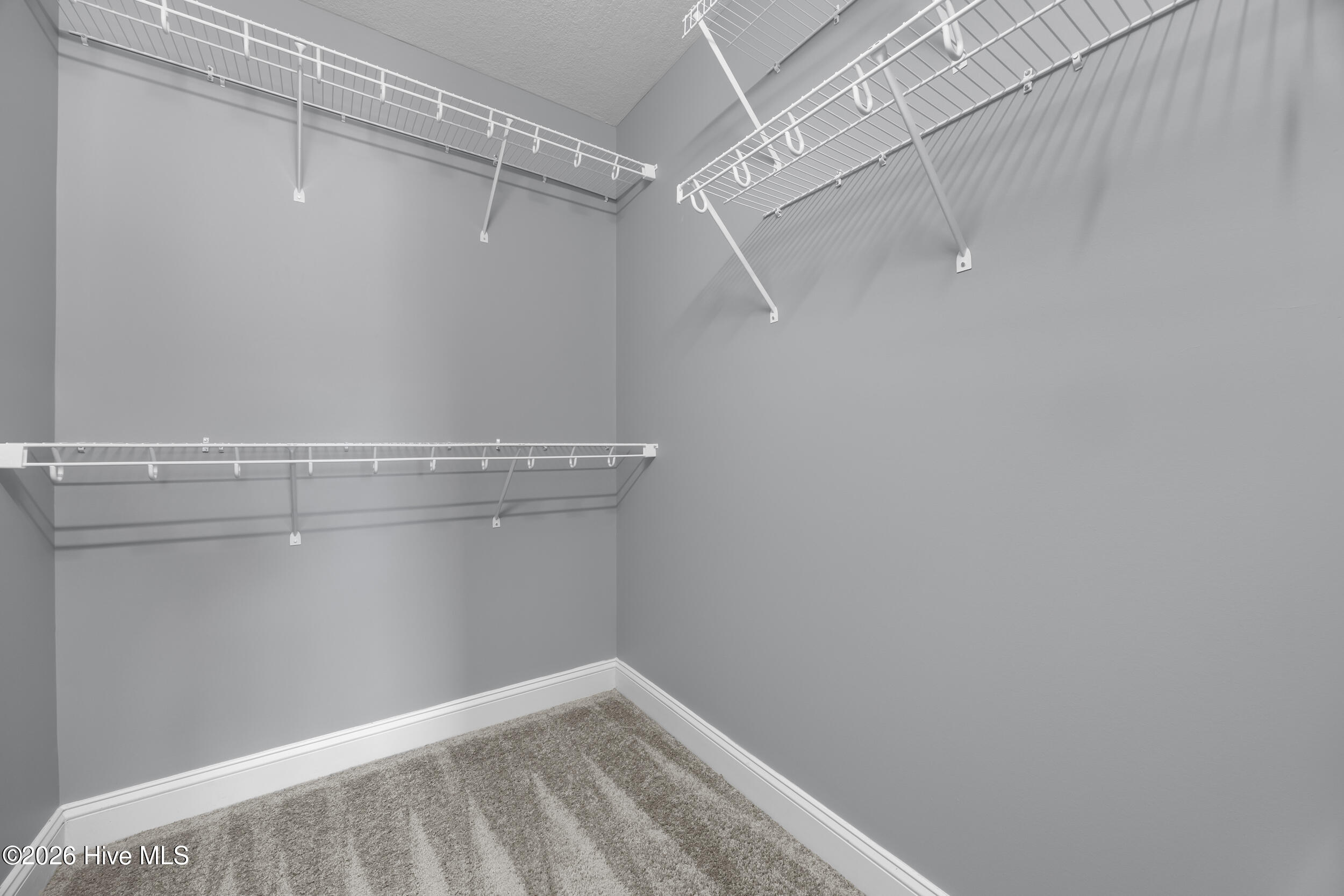 100550034 | Photo 35