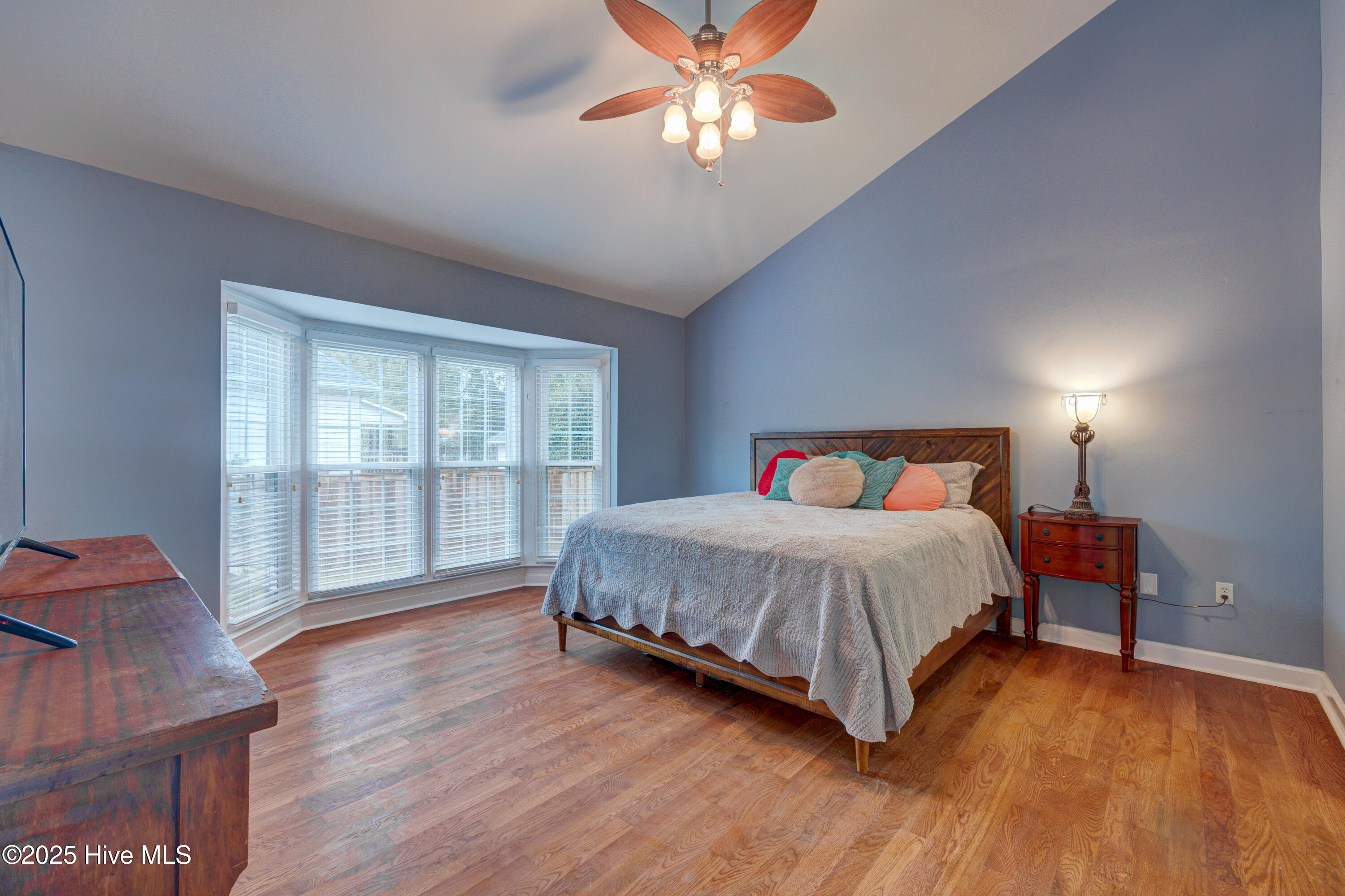 100534383 | Photo 16