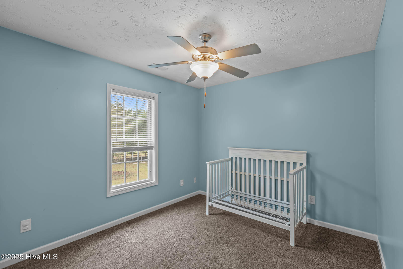 100542148 | Photo 40