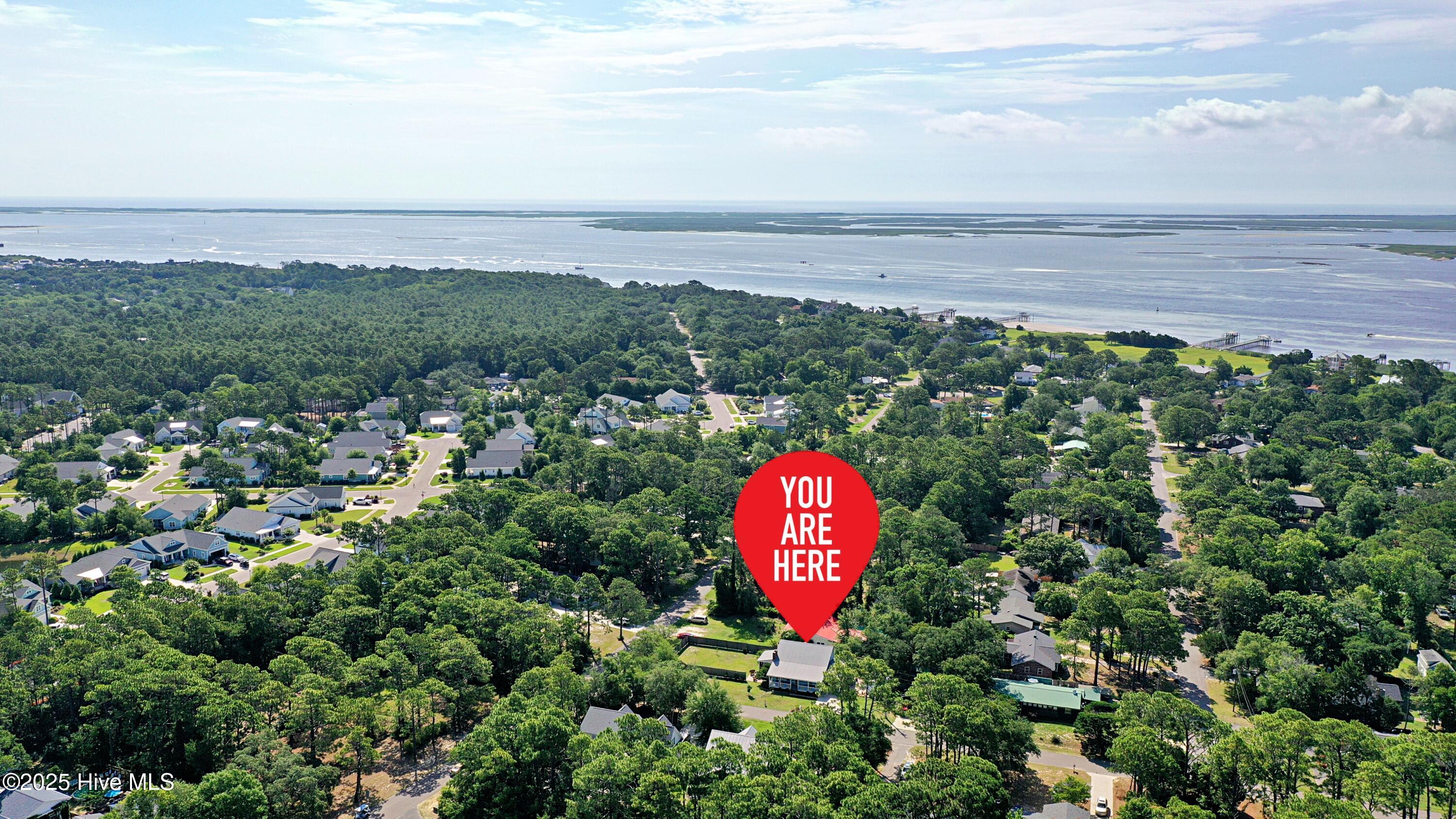 100513124 | Photo 43