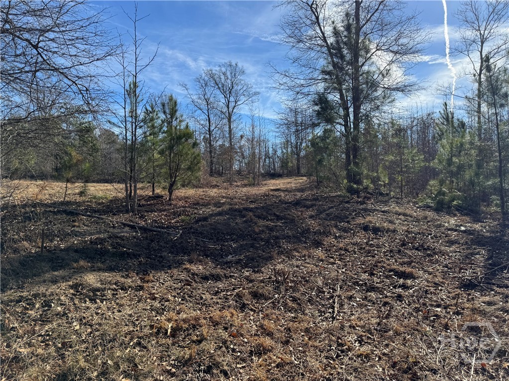 738 Old Mineral Springs Road, Elberton, GA, 30635