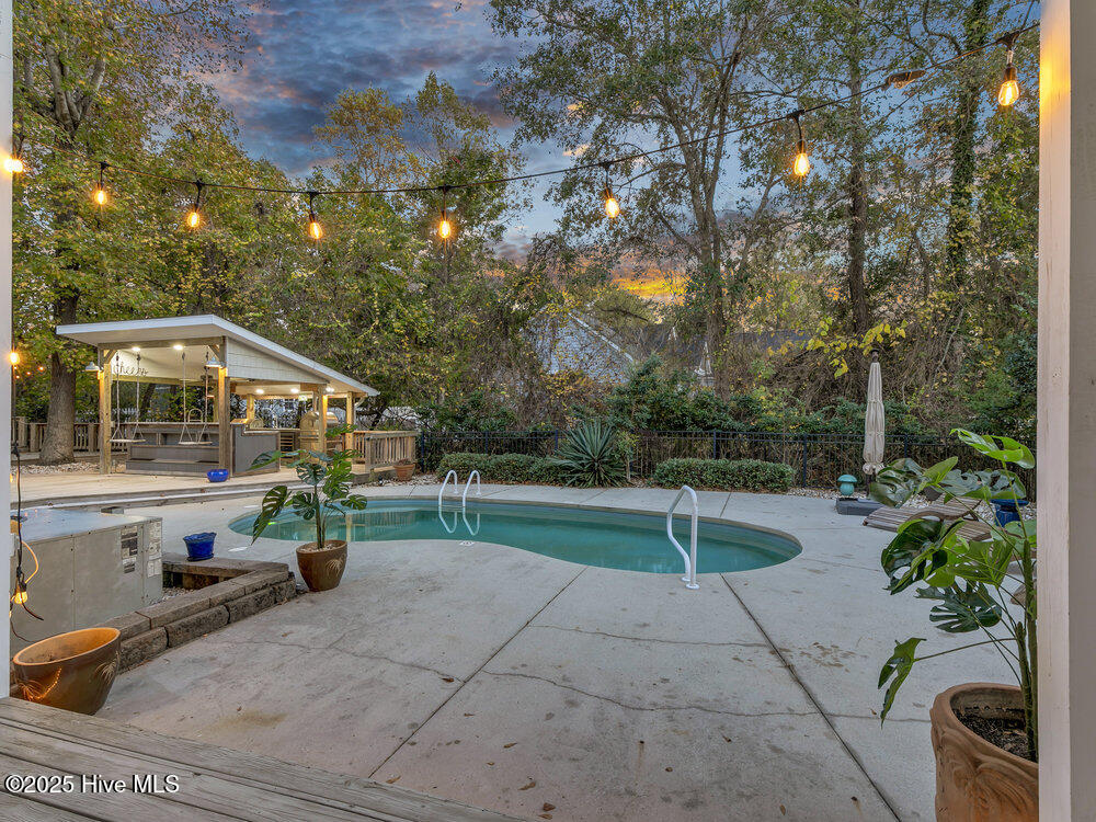 100542503 | Photo 65