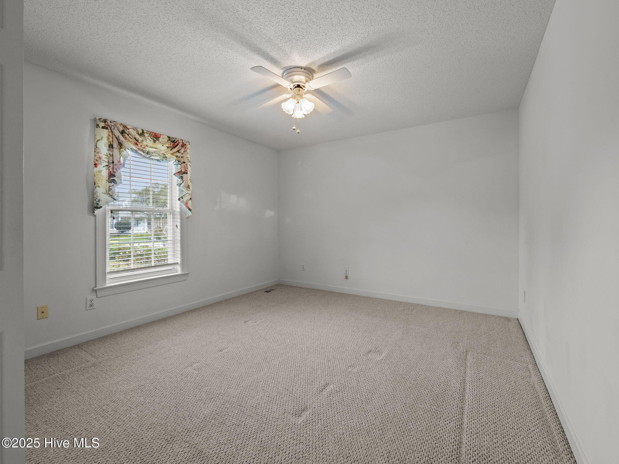 100534151 | Photo 31