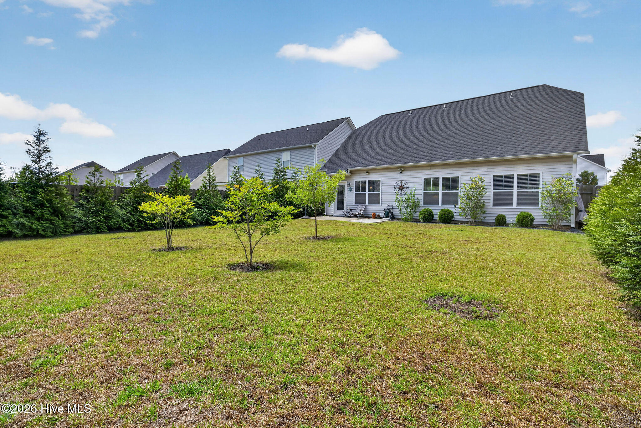 100570074 | Photo 35