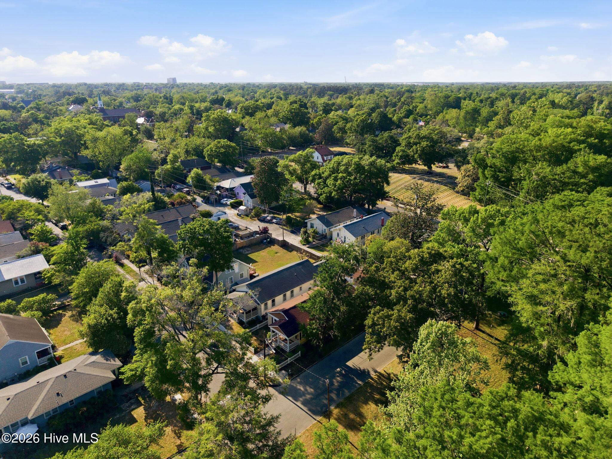 100569211 | Photo 34