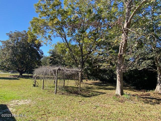 100538023 | Photo 24