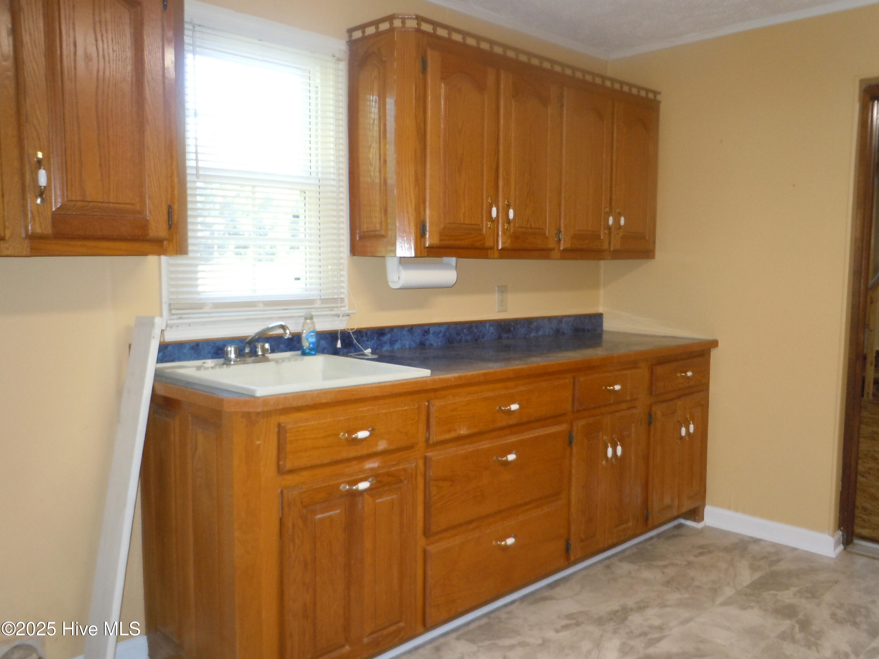 100528671 | Photo 17