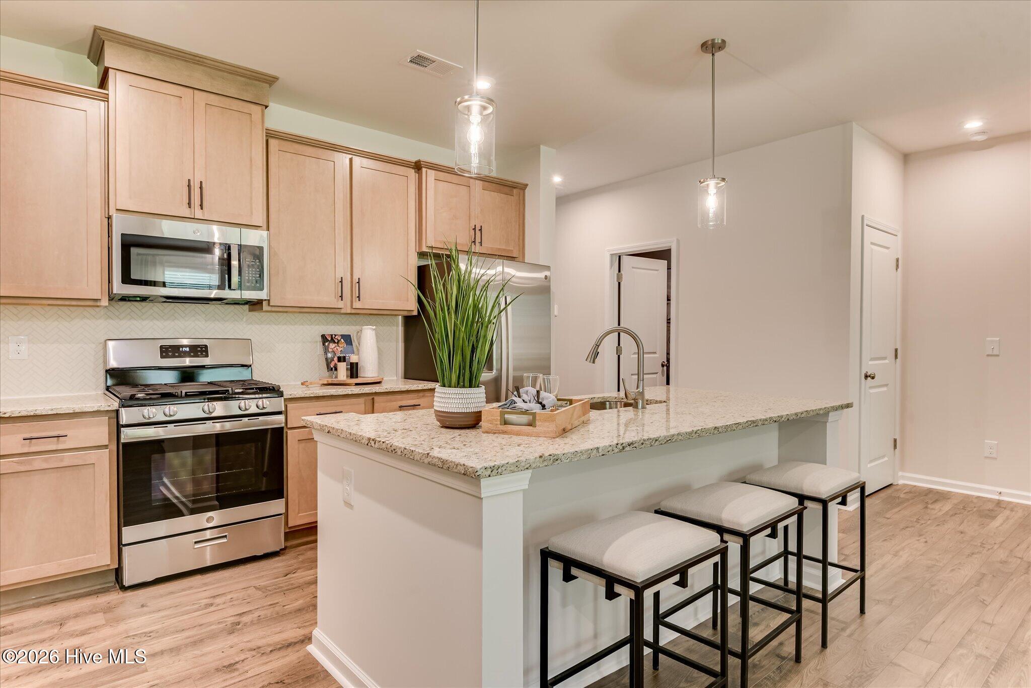 1006 American Egret Way,Morehead City