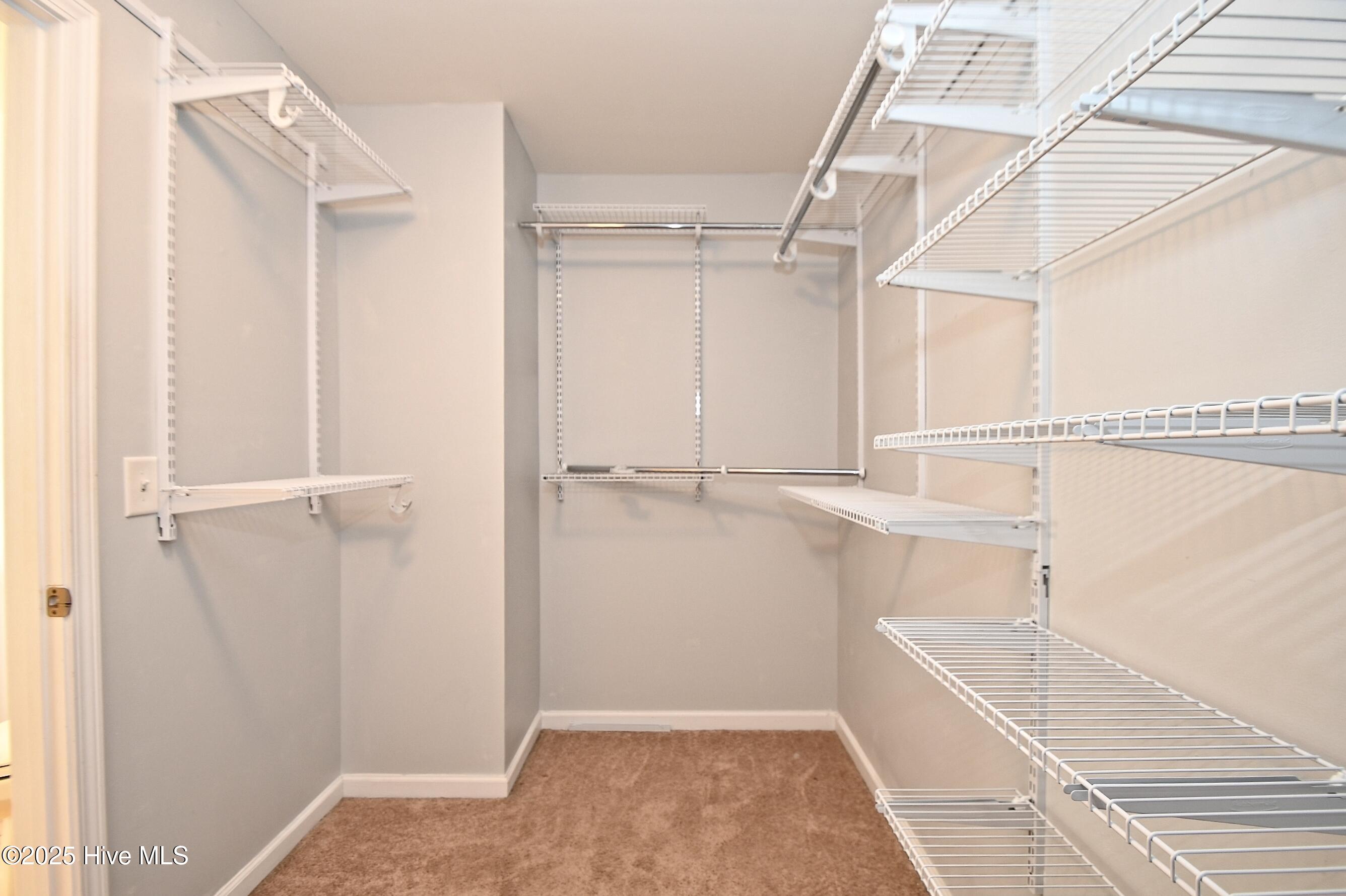 100538735 | Photo 30