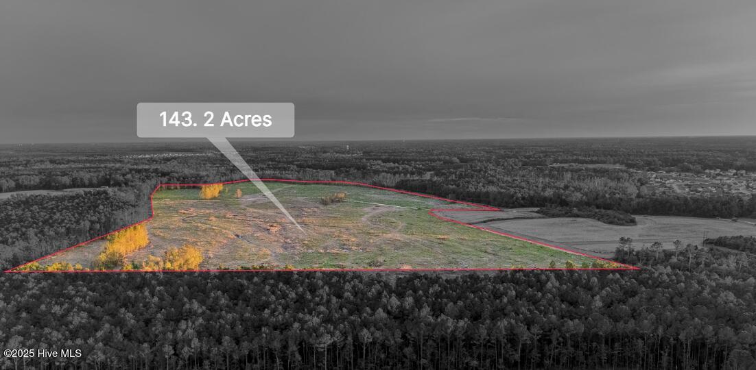 100538697 | Photo 15