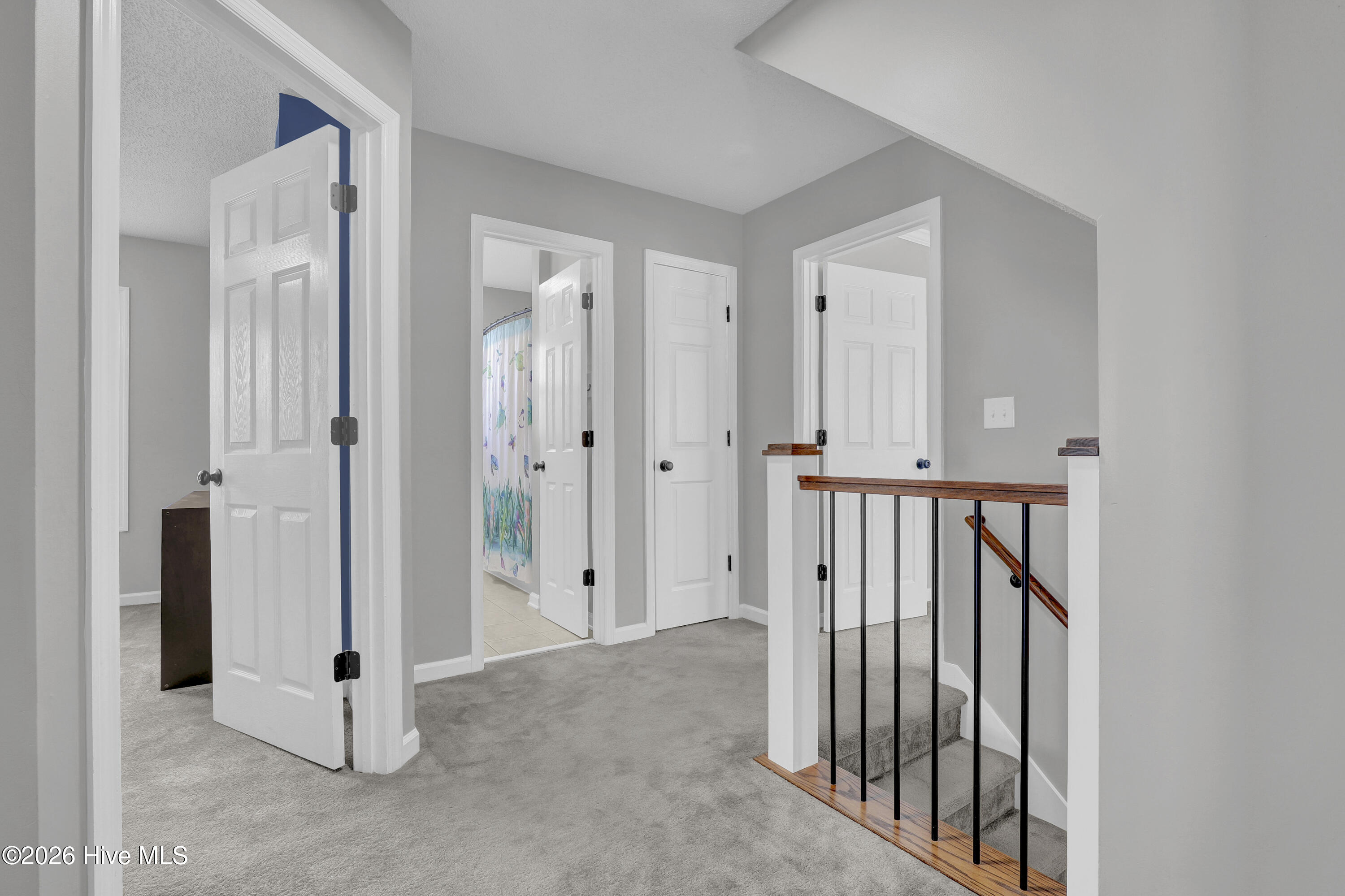 100556725 | Photo 27