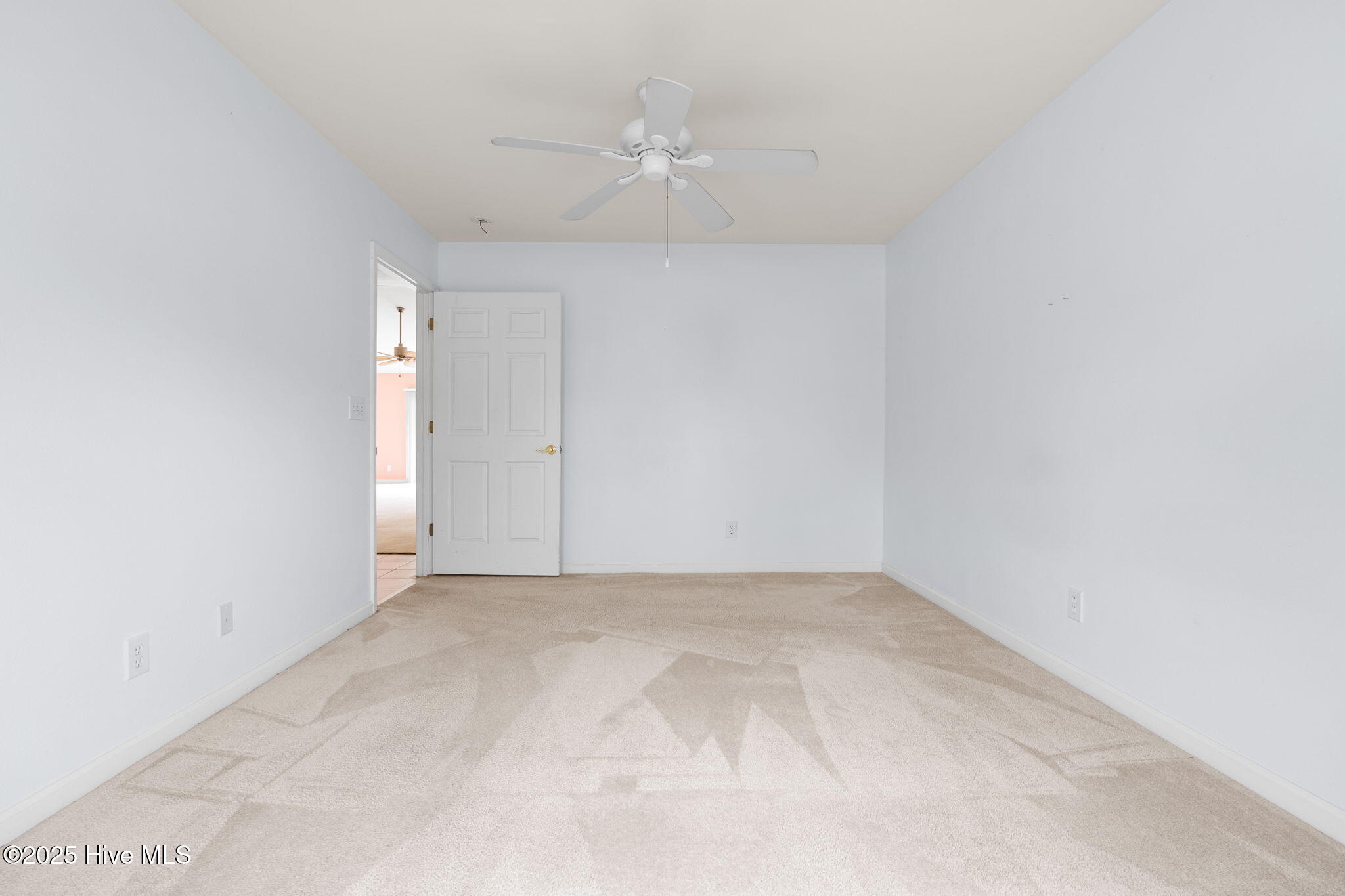 100536152 | Photo 43