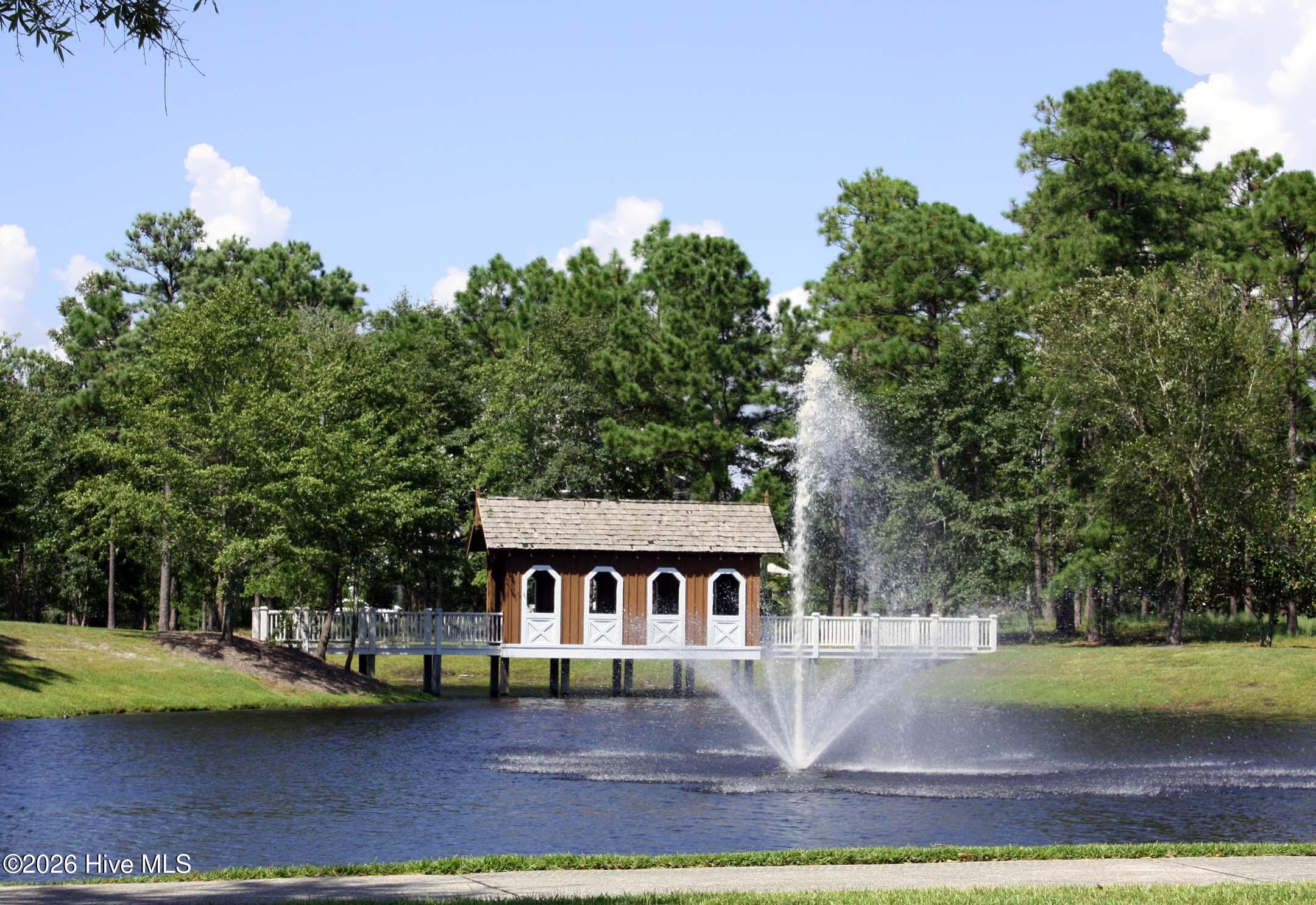 100548698 | Photo 15