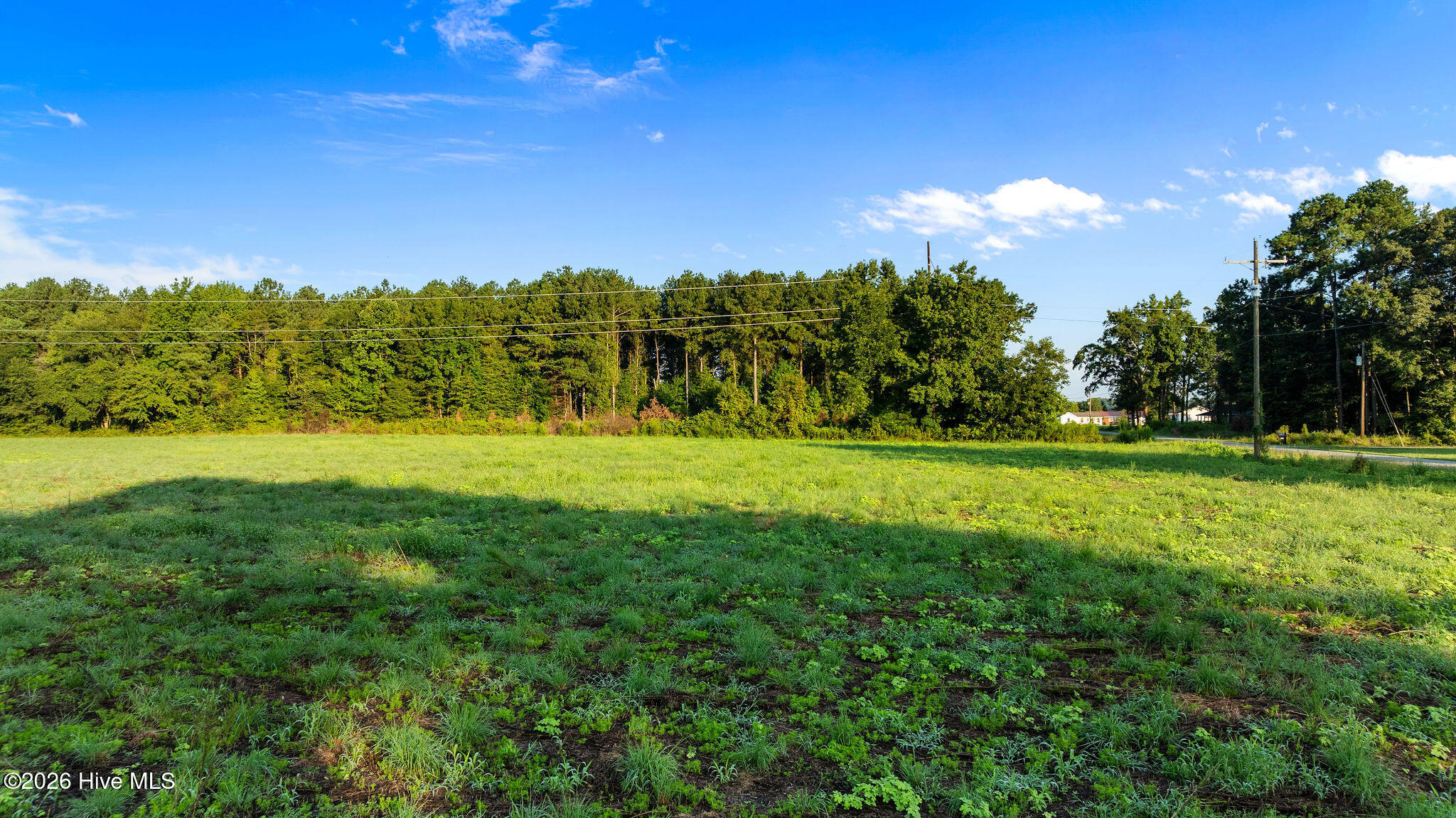 Exterior photo of 1 Old Smith Chapel Road, Mount Olive, NC 28365. MLS: 100601082
