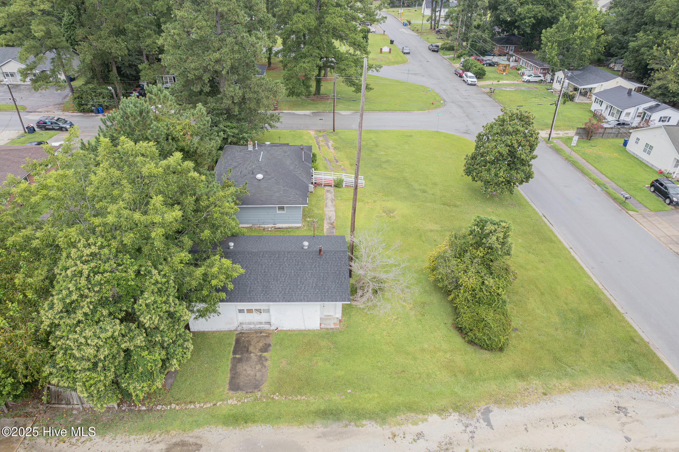 100523491 | Photo 43