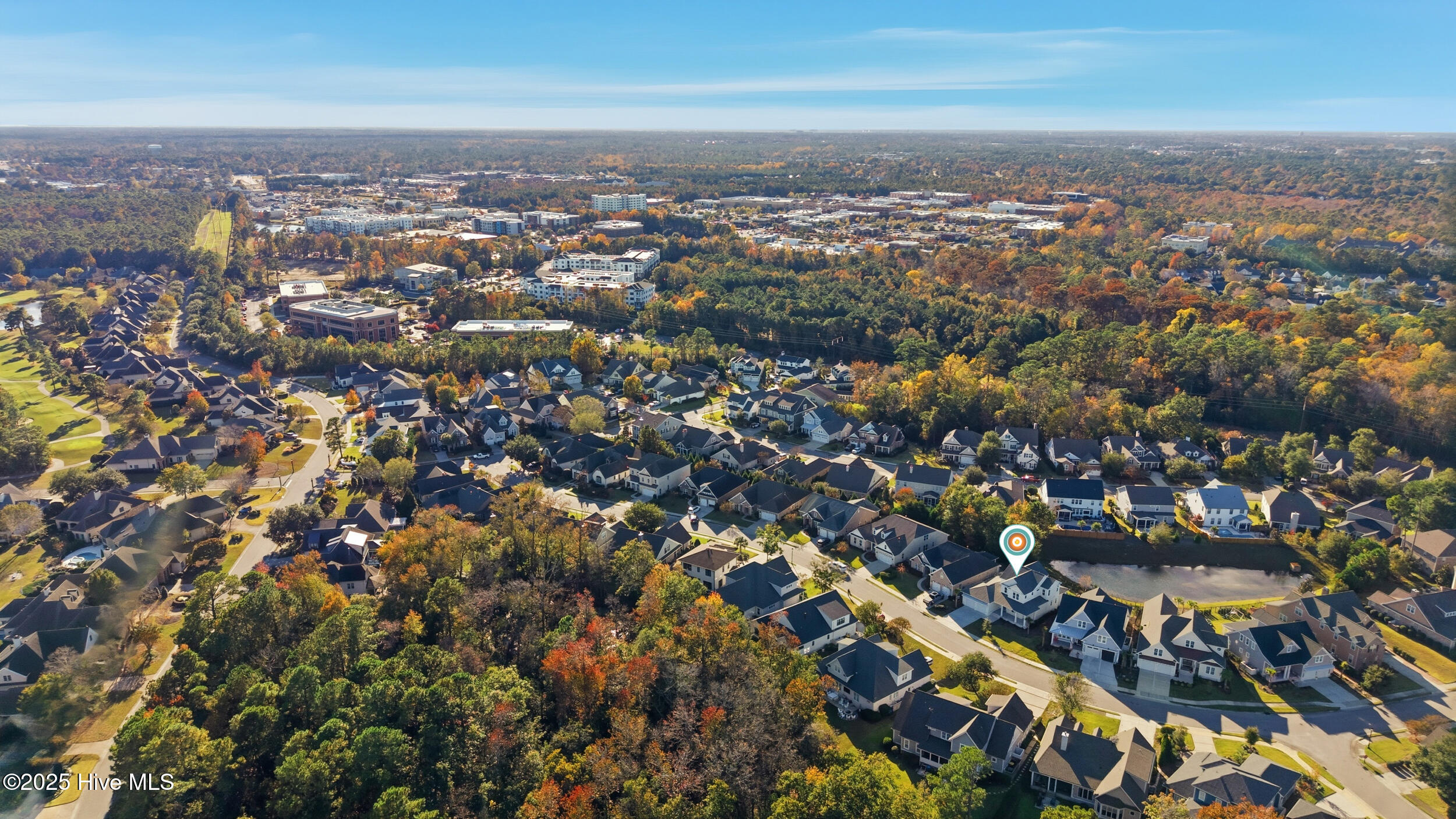 100540842 | Photo 74