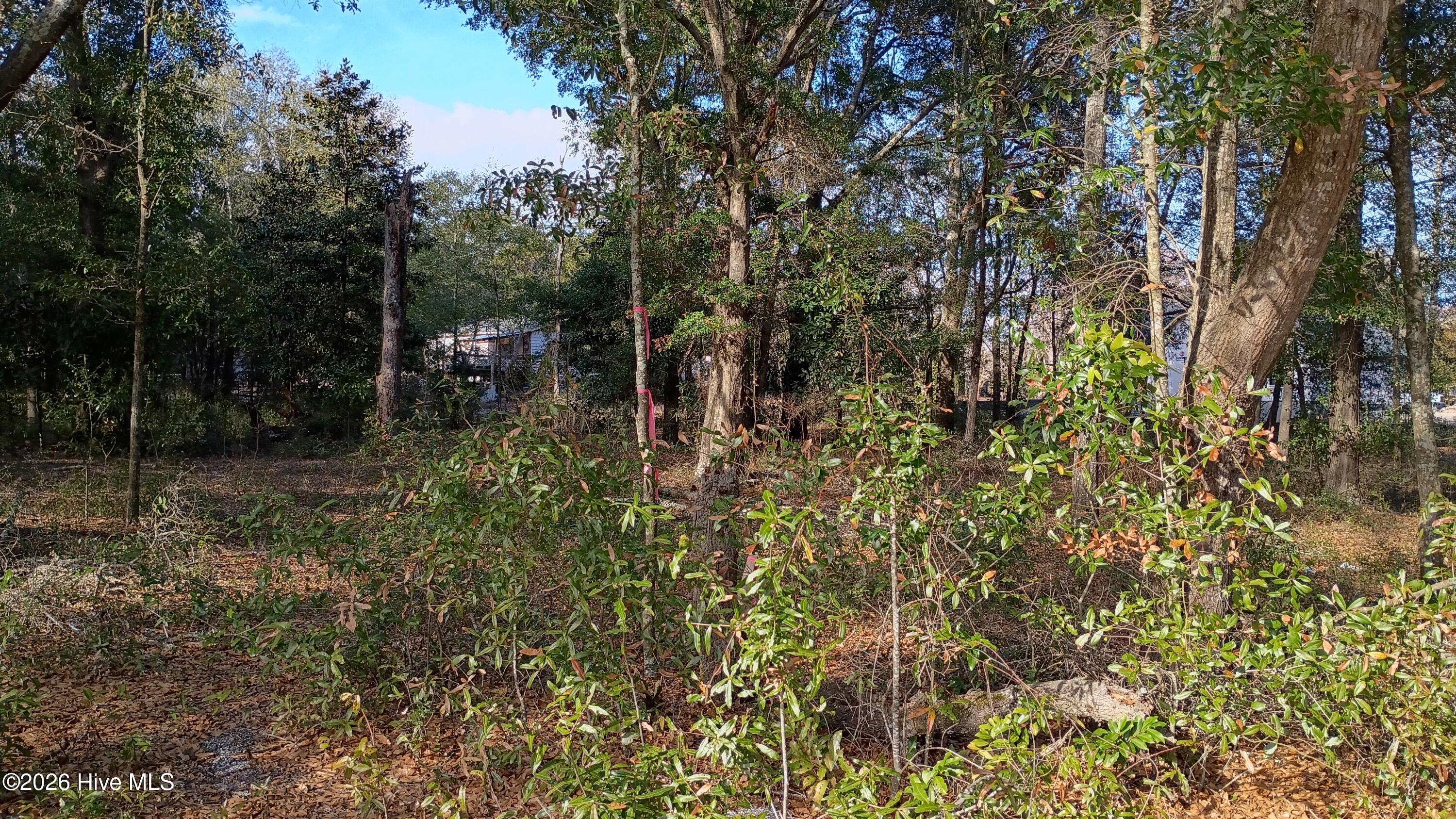 217 Clinton Street, Wilmington, NC, 28401