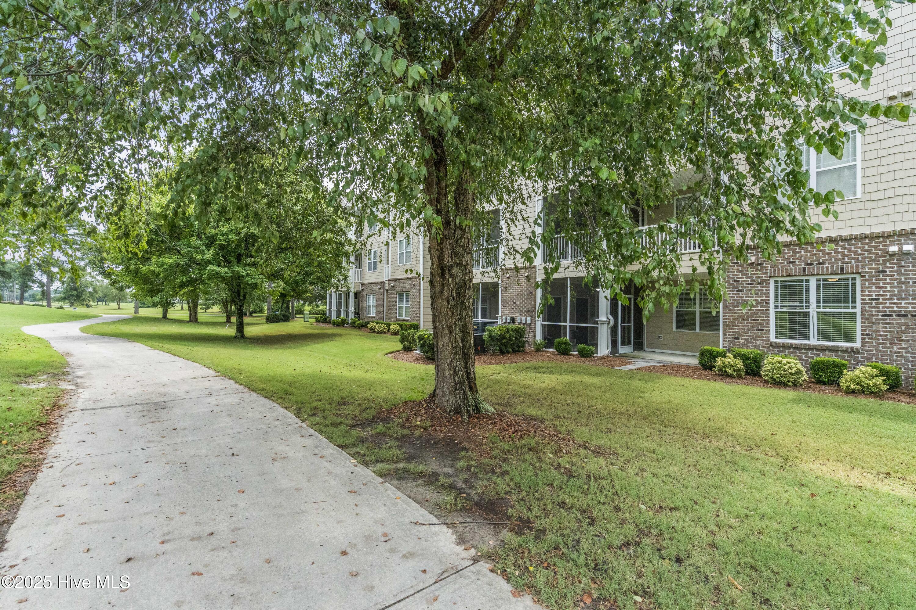 100564335 | Photo 42