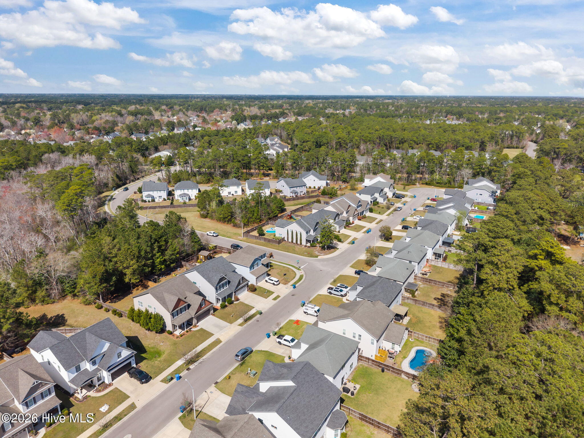 100560294 | Photo 57