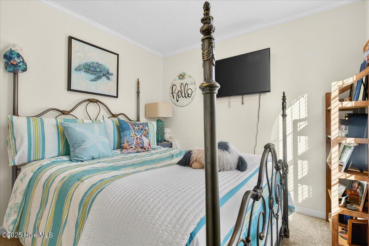 100540840 | Photo 29