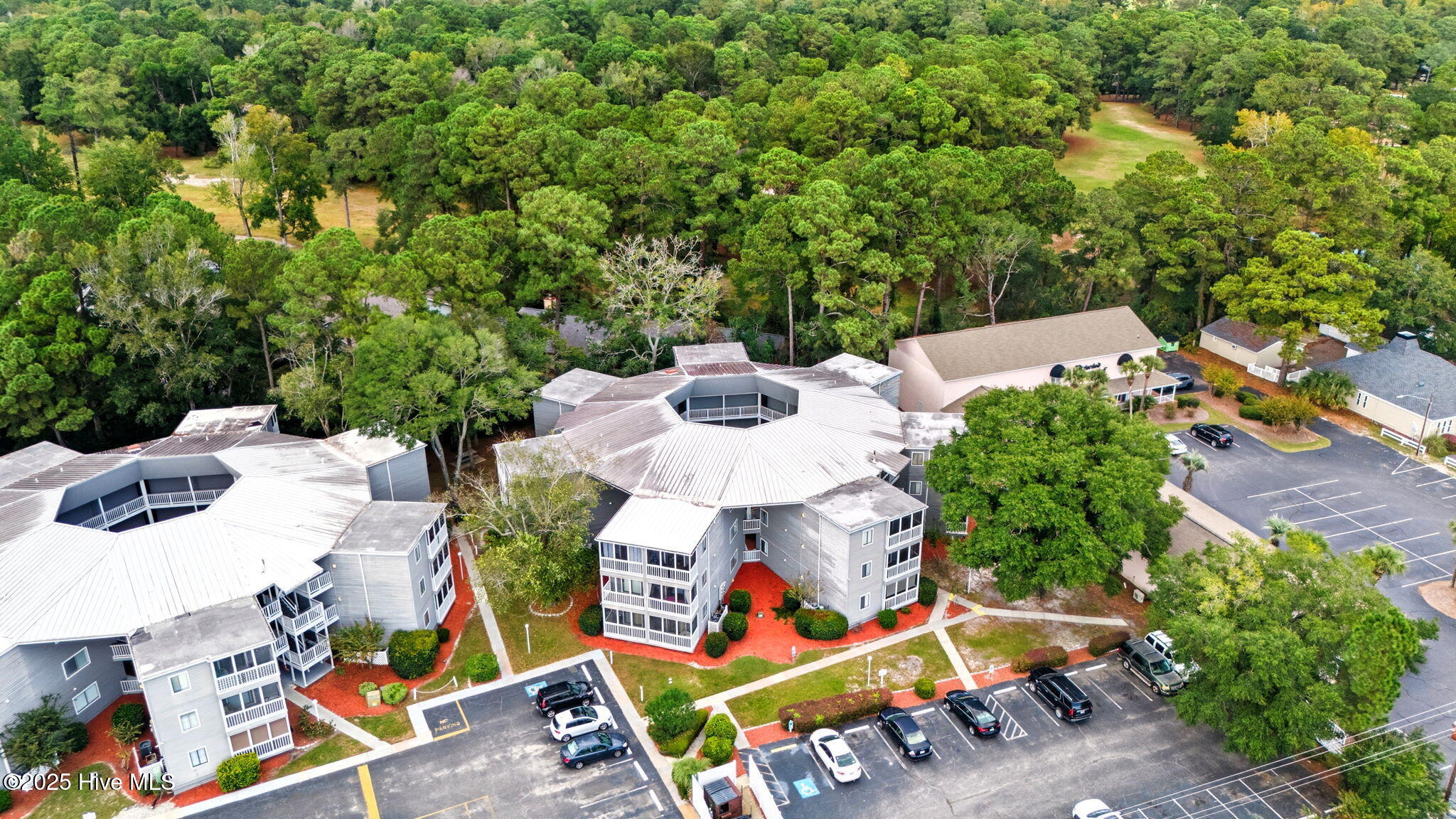 100535157 | Photo 35