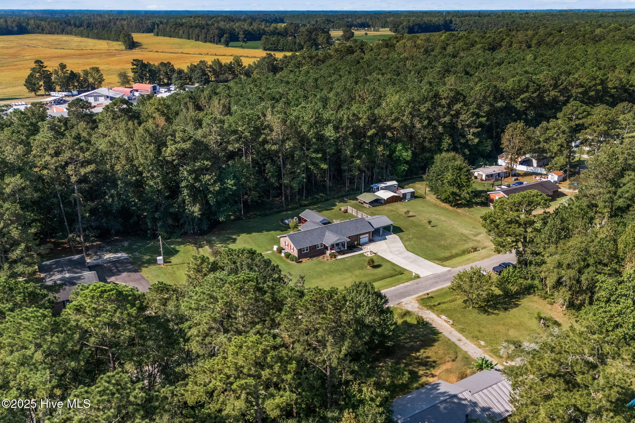 100532446 | Photo 47