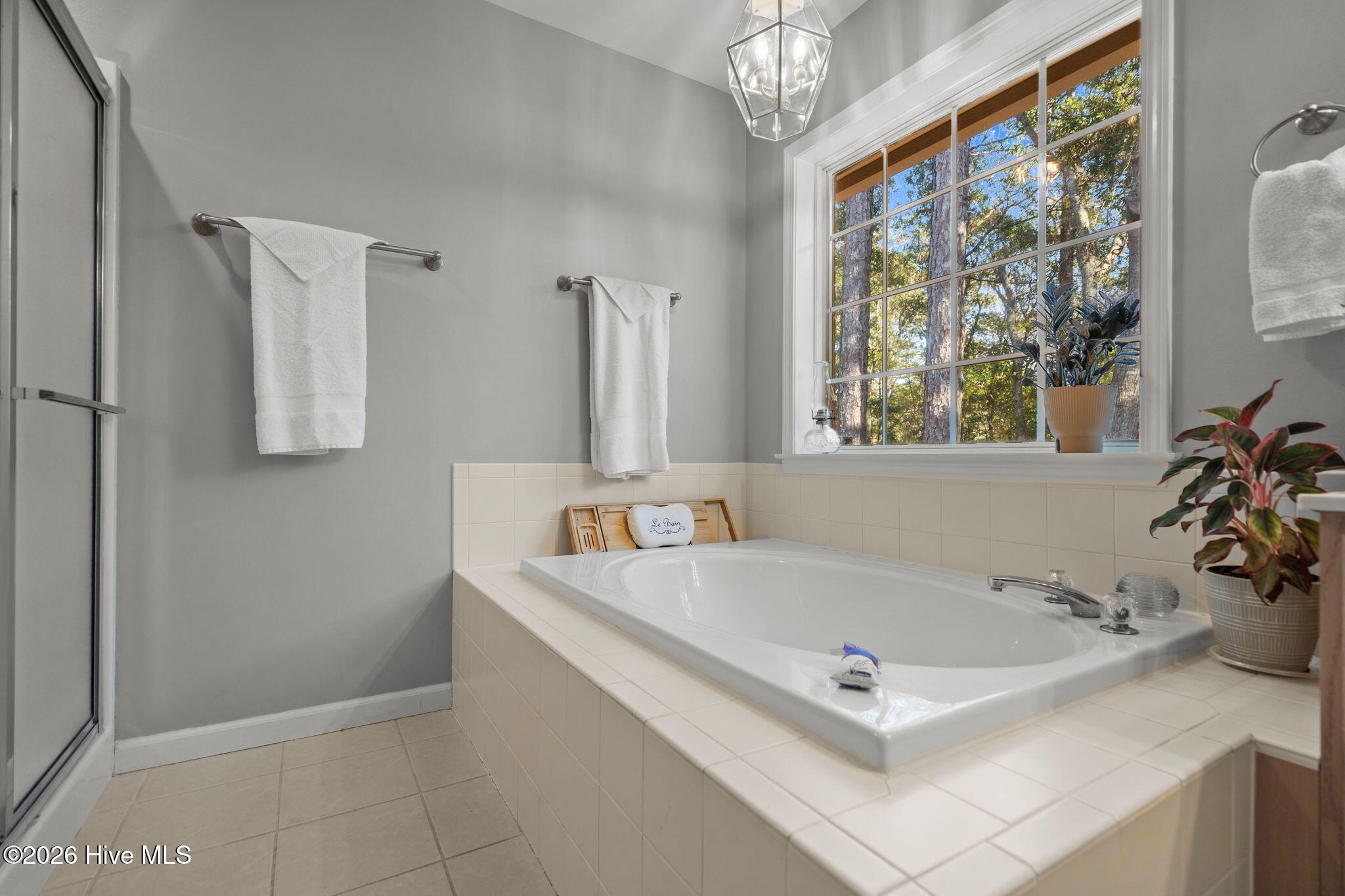 100552343 | Photo 21