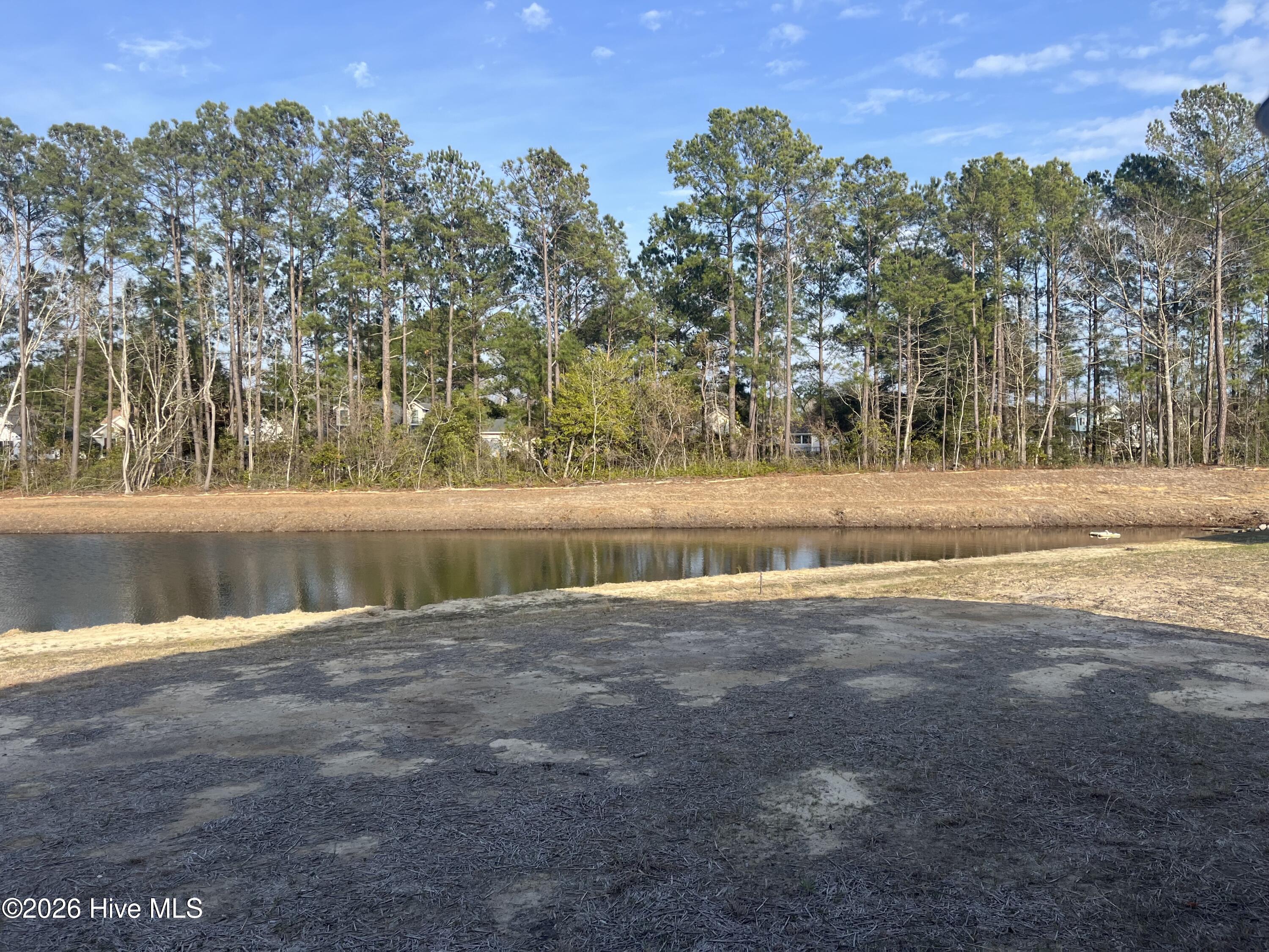 100556275 | Photo 21