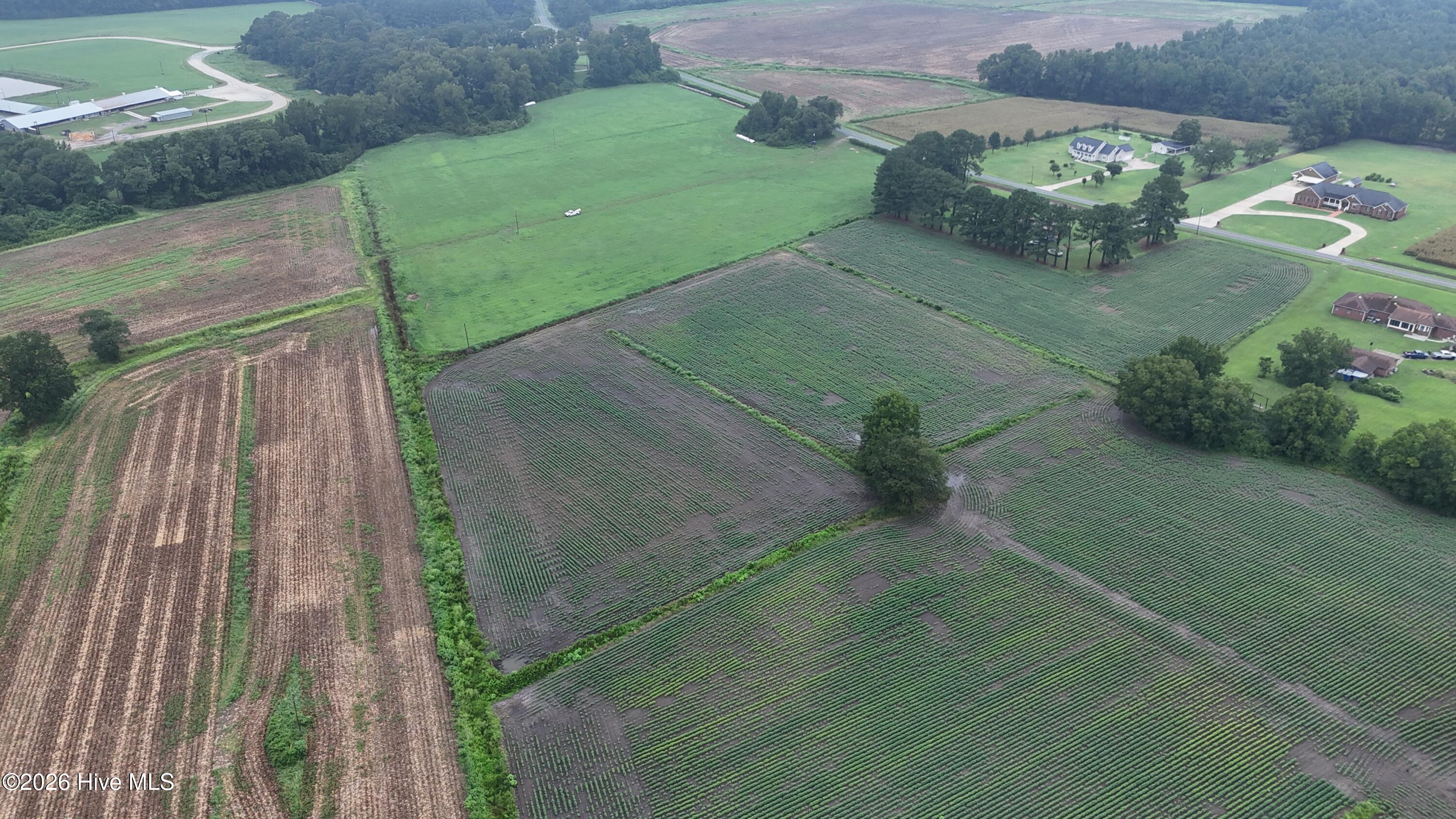 5th image of Near 128 Bay Rd, Rose Hill, NC 28458 | MLS# 100598261