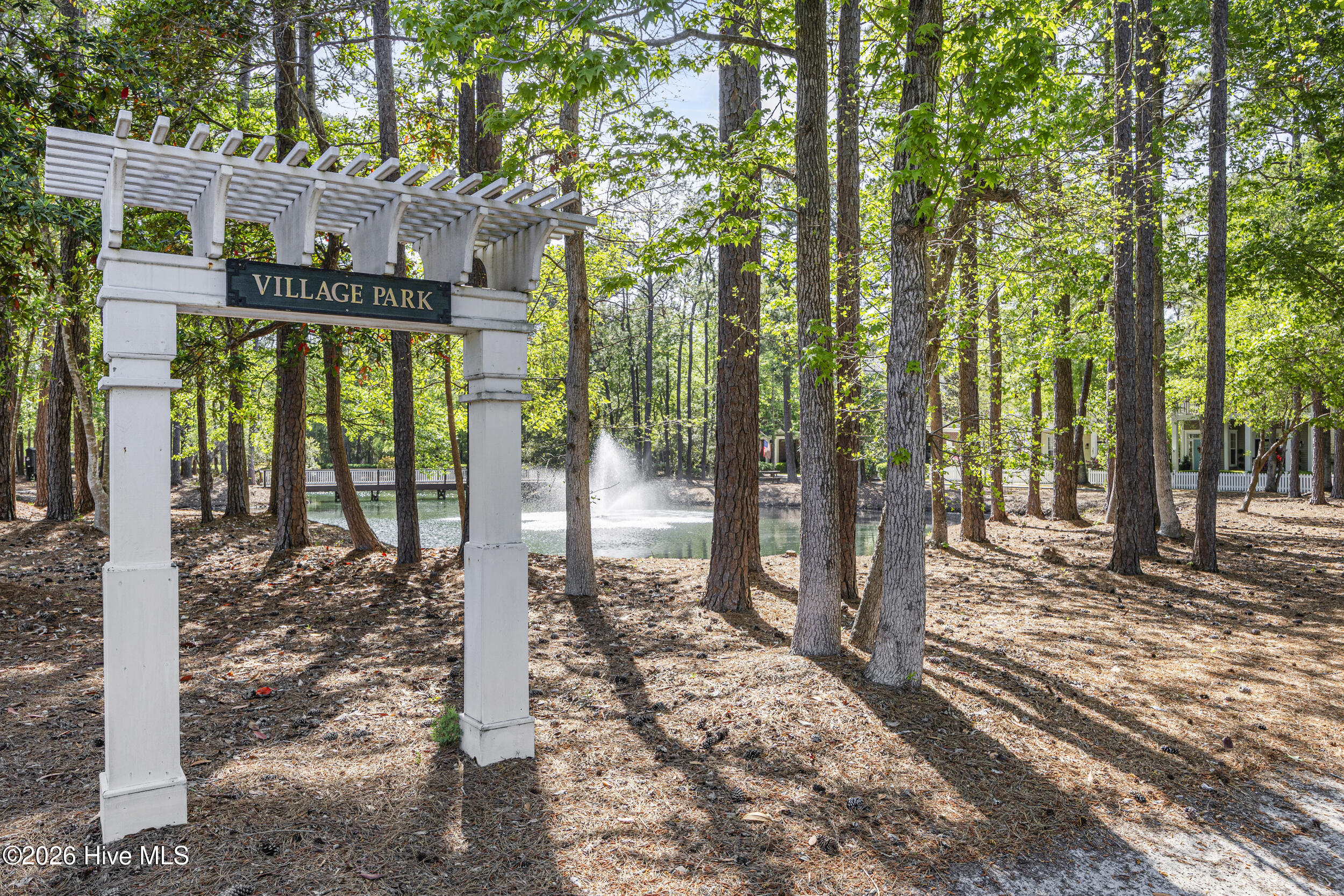 100567913 | Photo 49