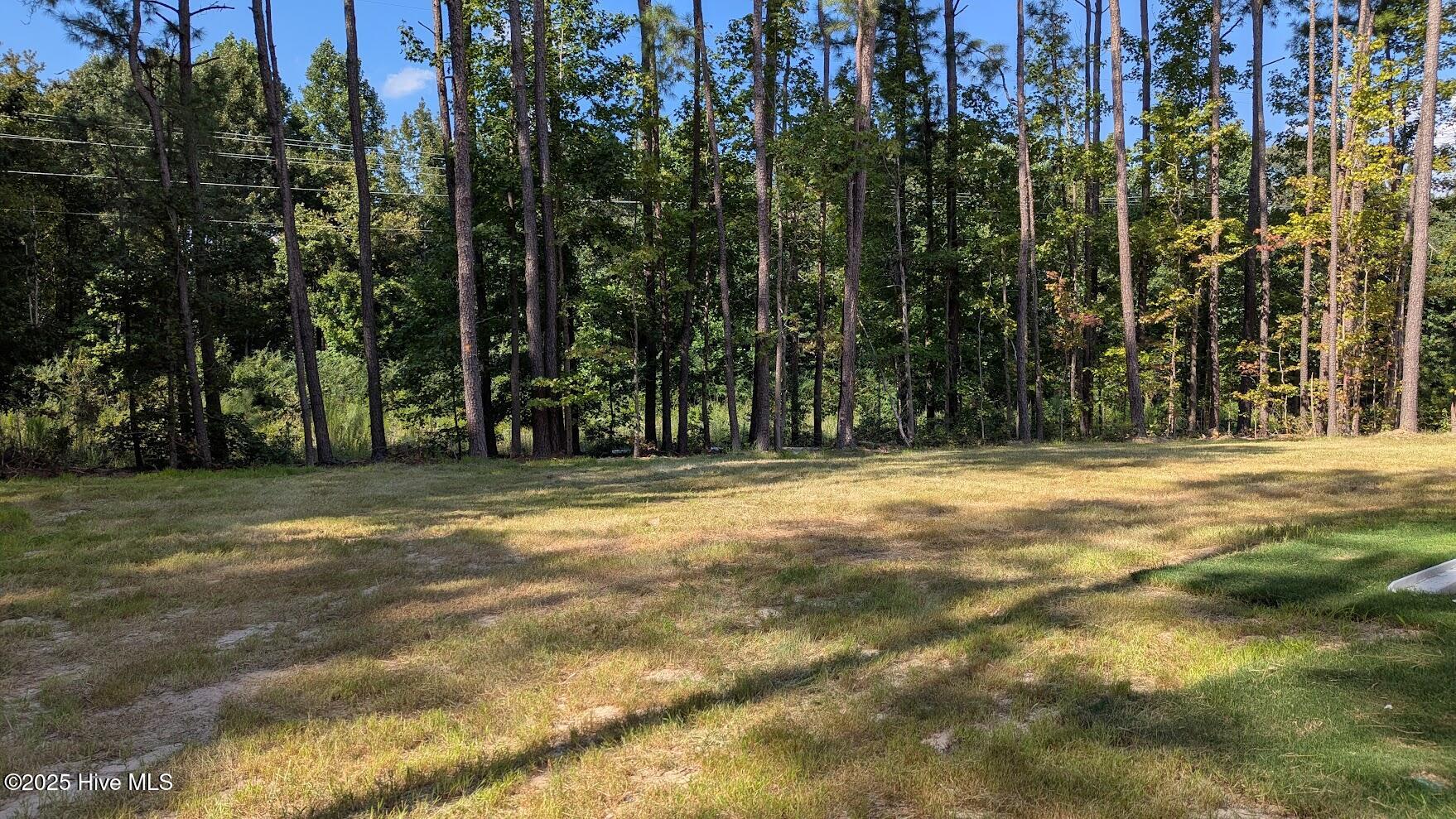 1737 Pecan Drive UNIT lot 21, Nashville, NC, 27856