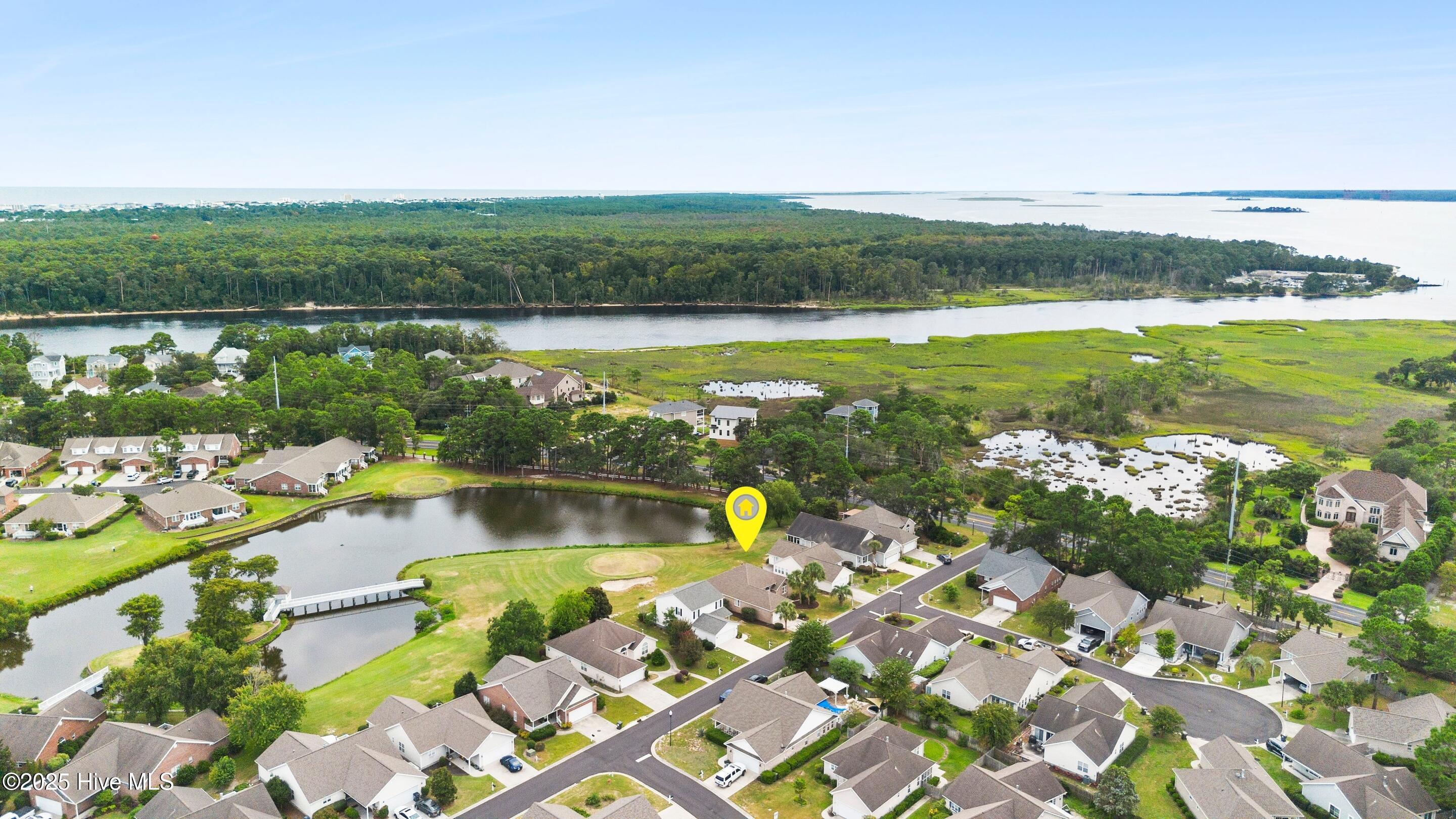 100528797 | Photo 61