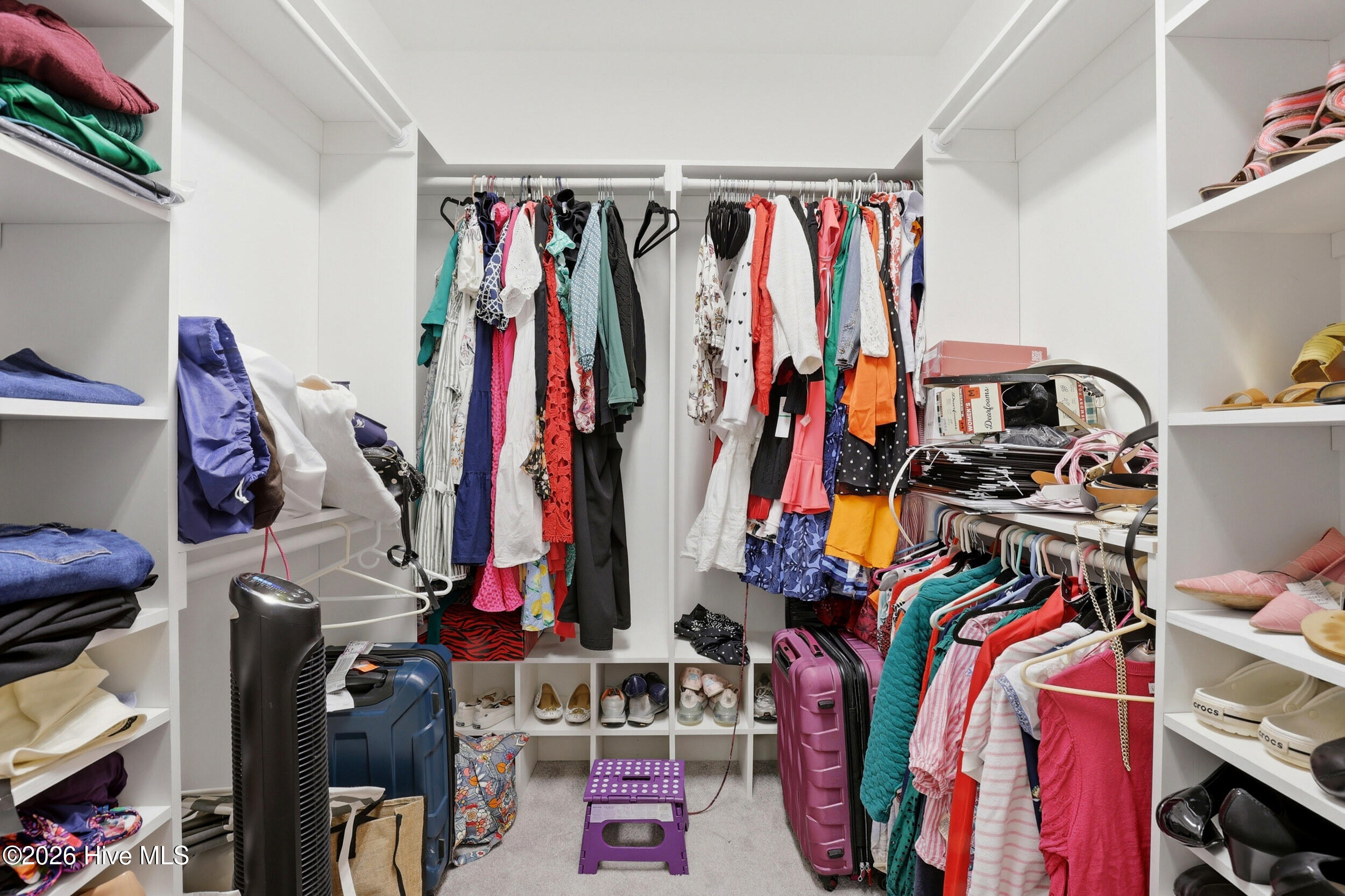 100557716 | Photo 22