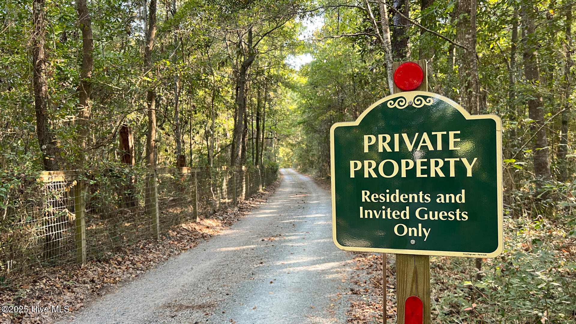 100535774 | Photo 50