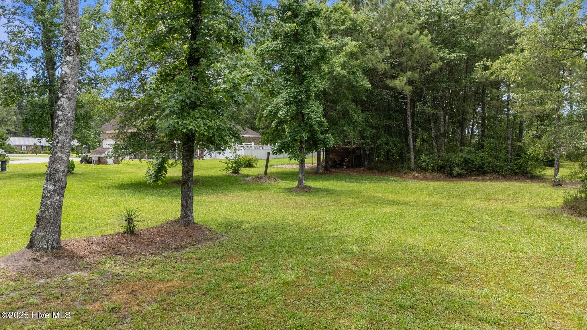 100513864 | Photo 51