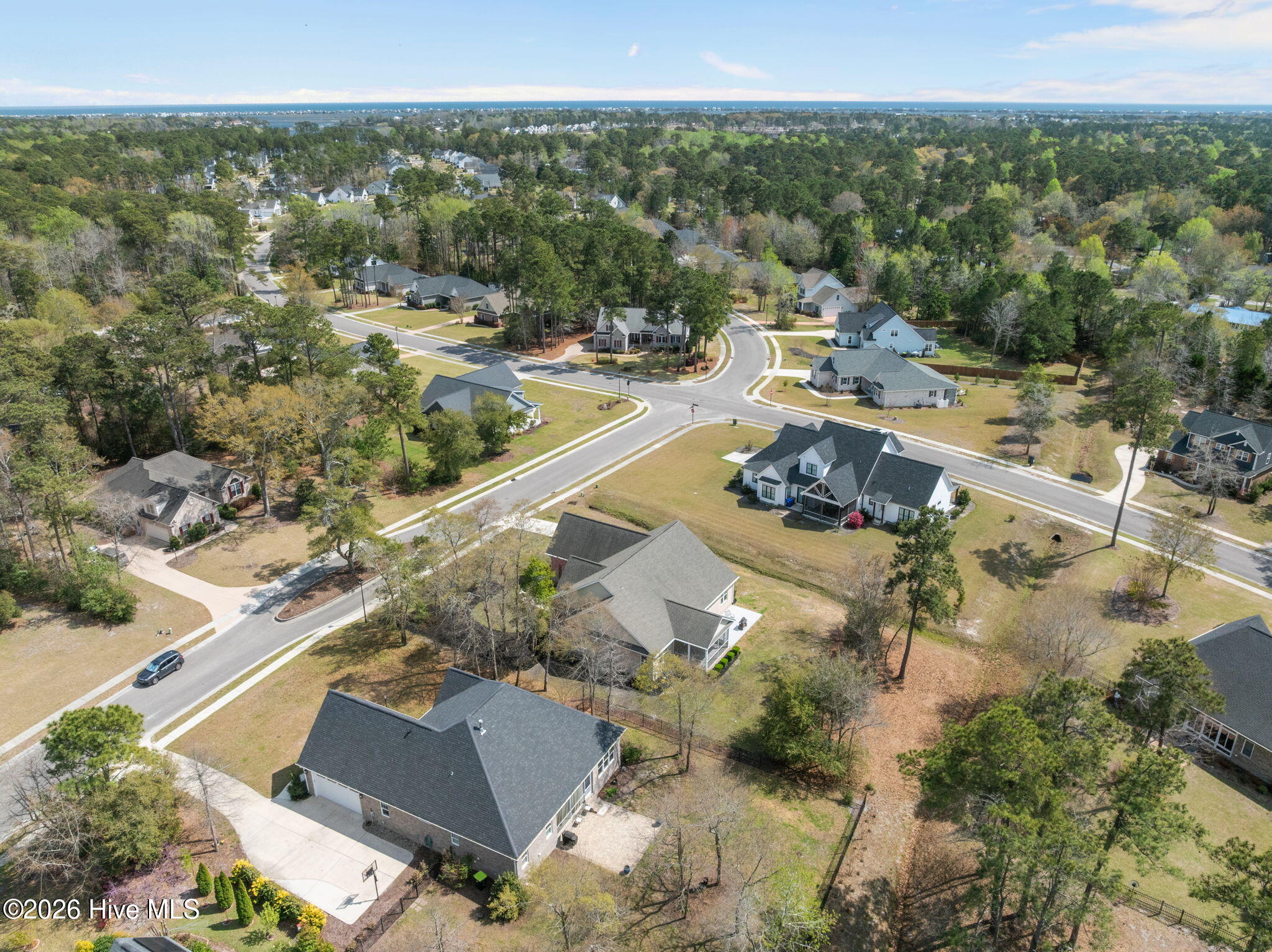 100562487 | Photo 59