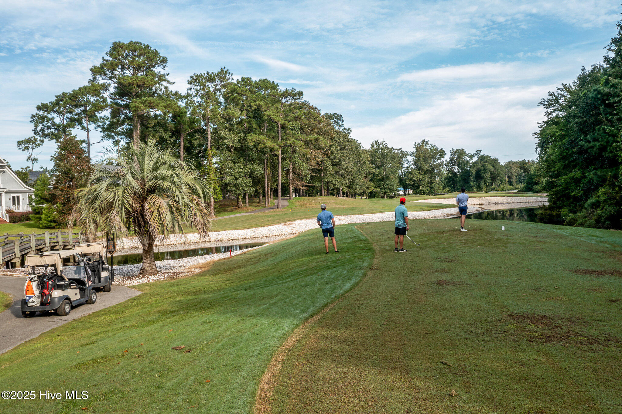 100528098 | Photo 53