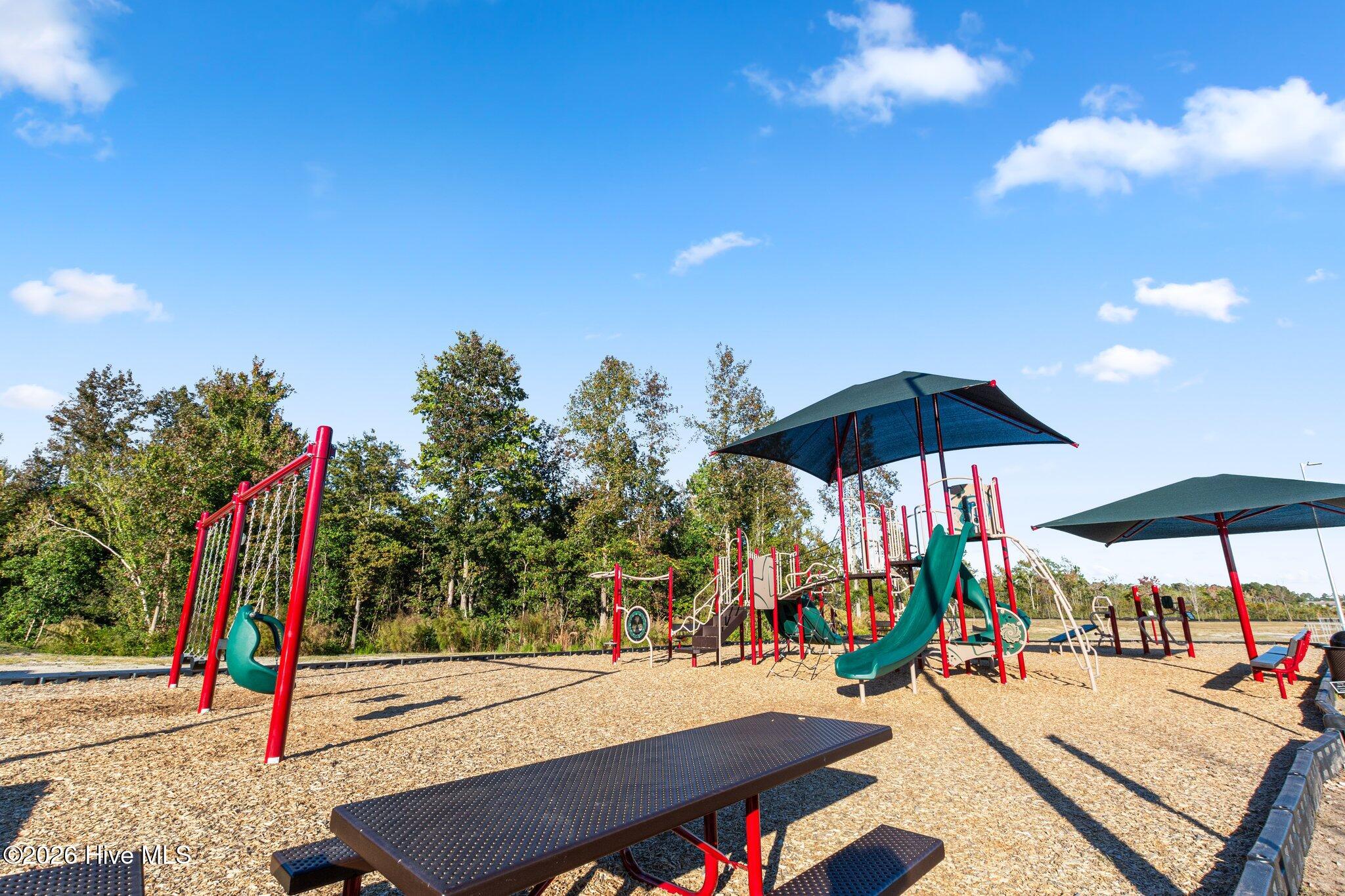 100554409 | Photo 46