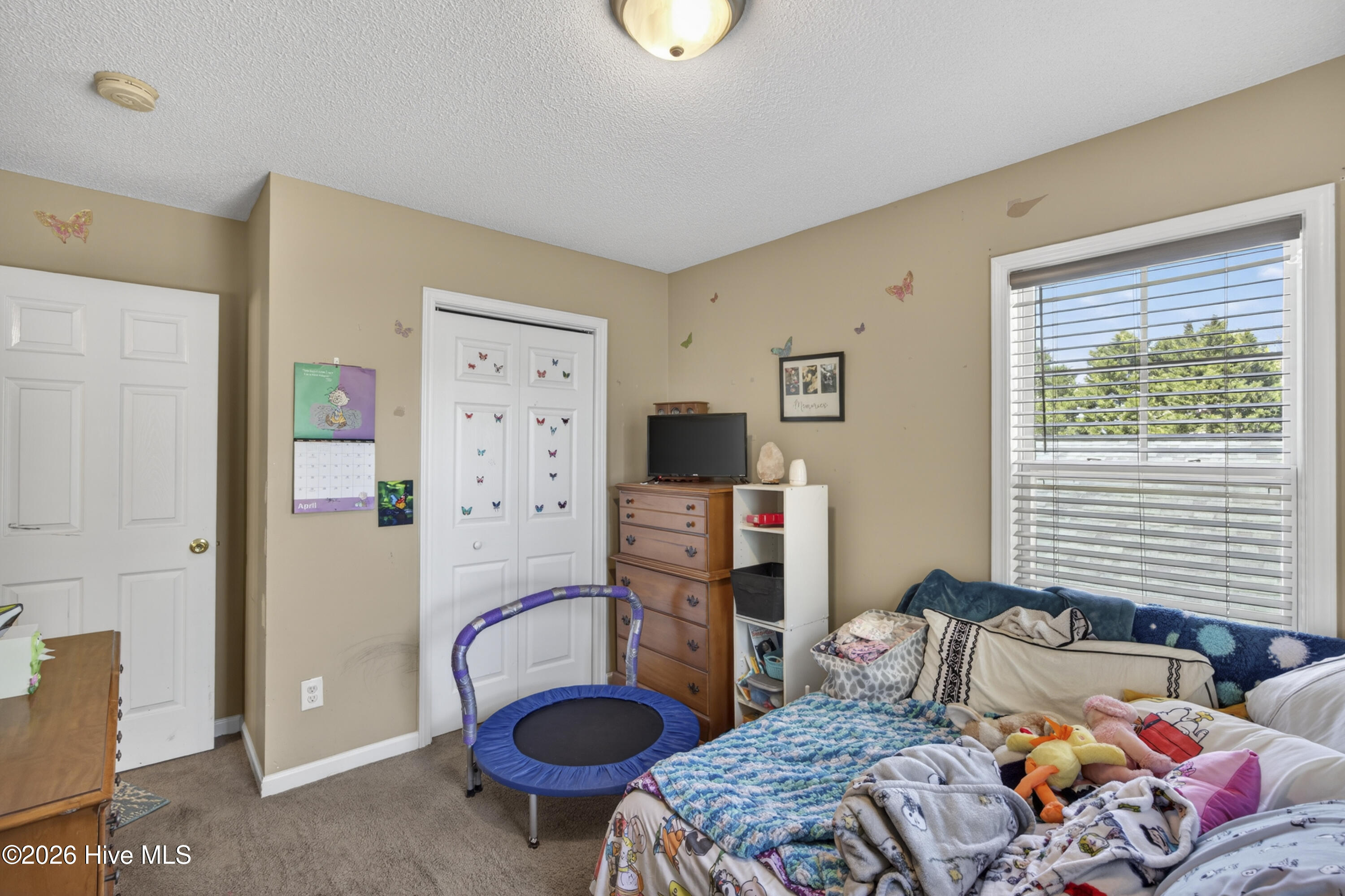 100567441 | Photo 15