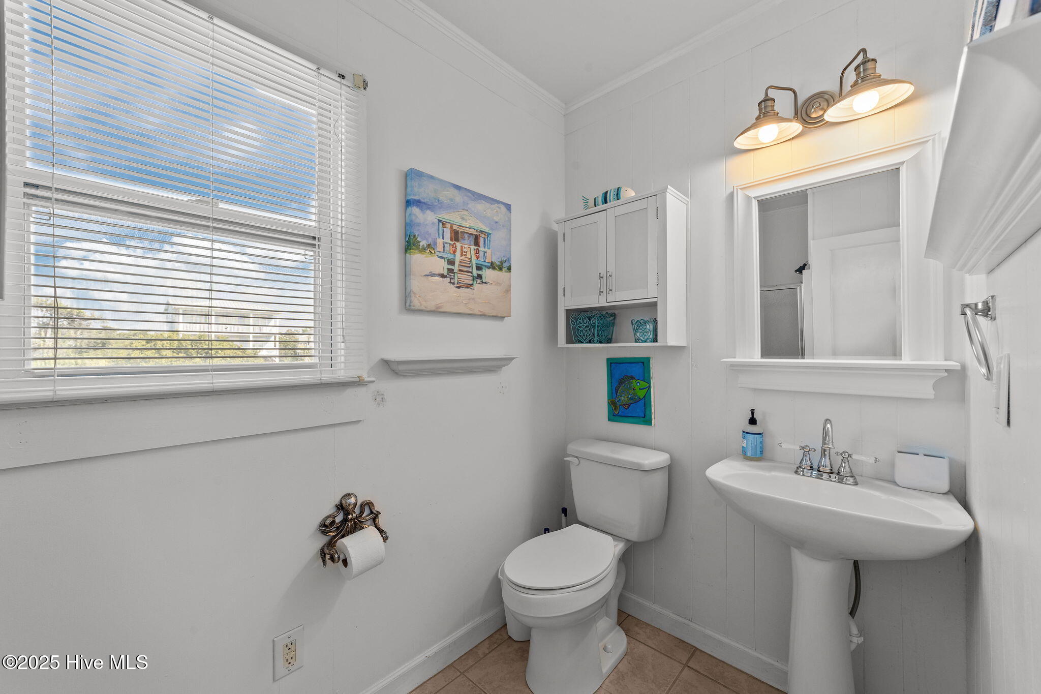 100536358 | Photo 15