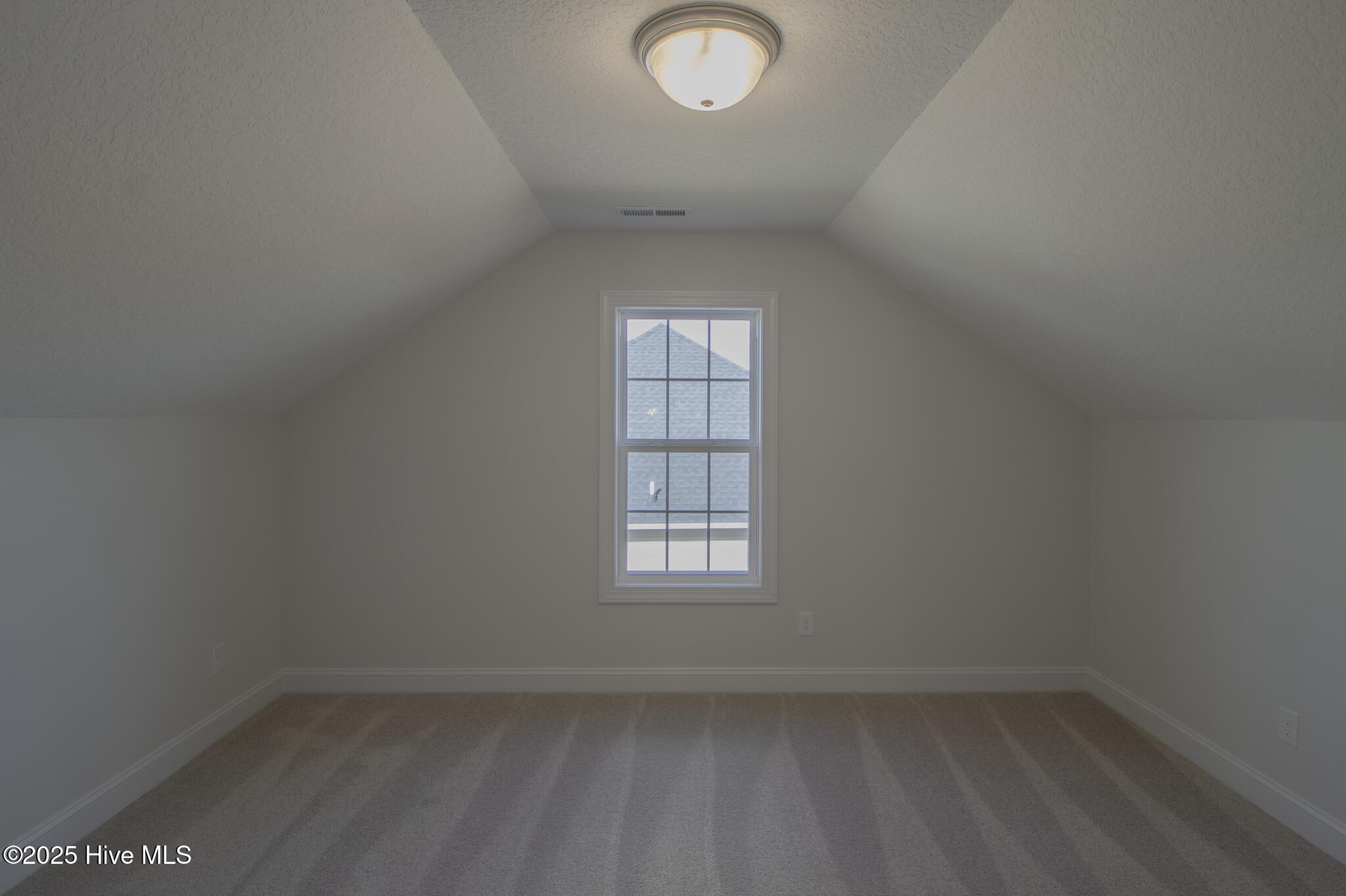 100512966 | Photo 20