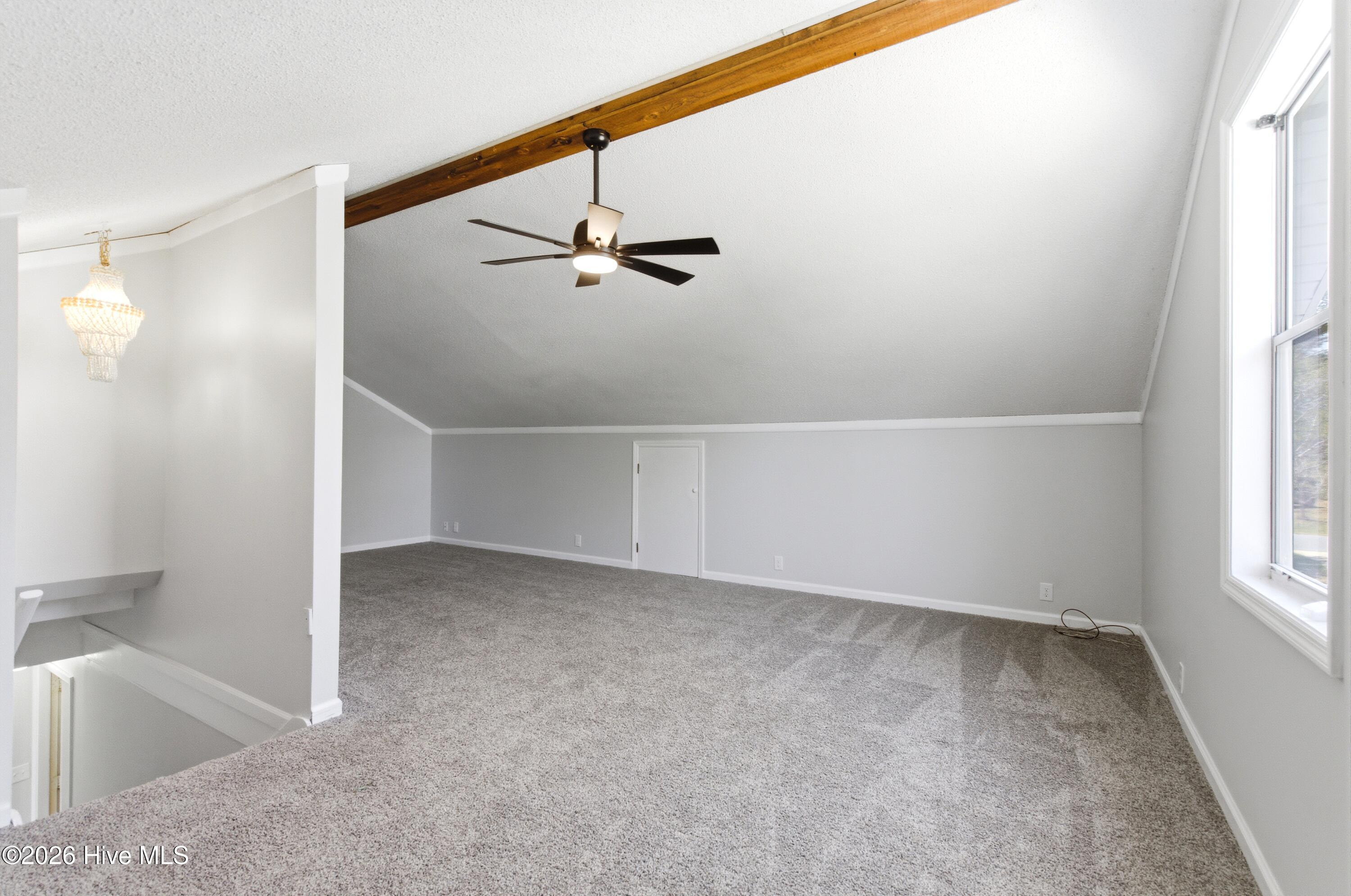 100562679 | Photo 14