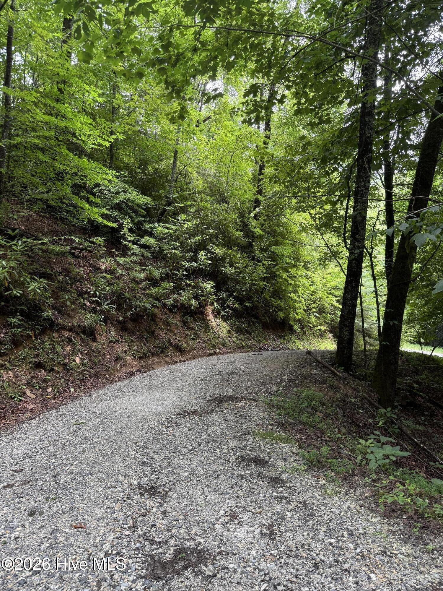 Homes for sale in Topton, NC | Lot 8 Vista Loop Road Road, Topton, NC 28781 | MLS# 100589869