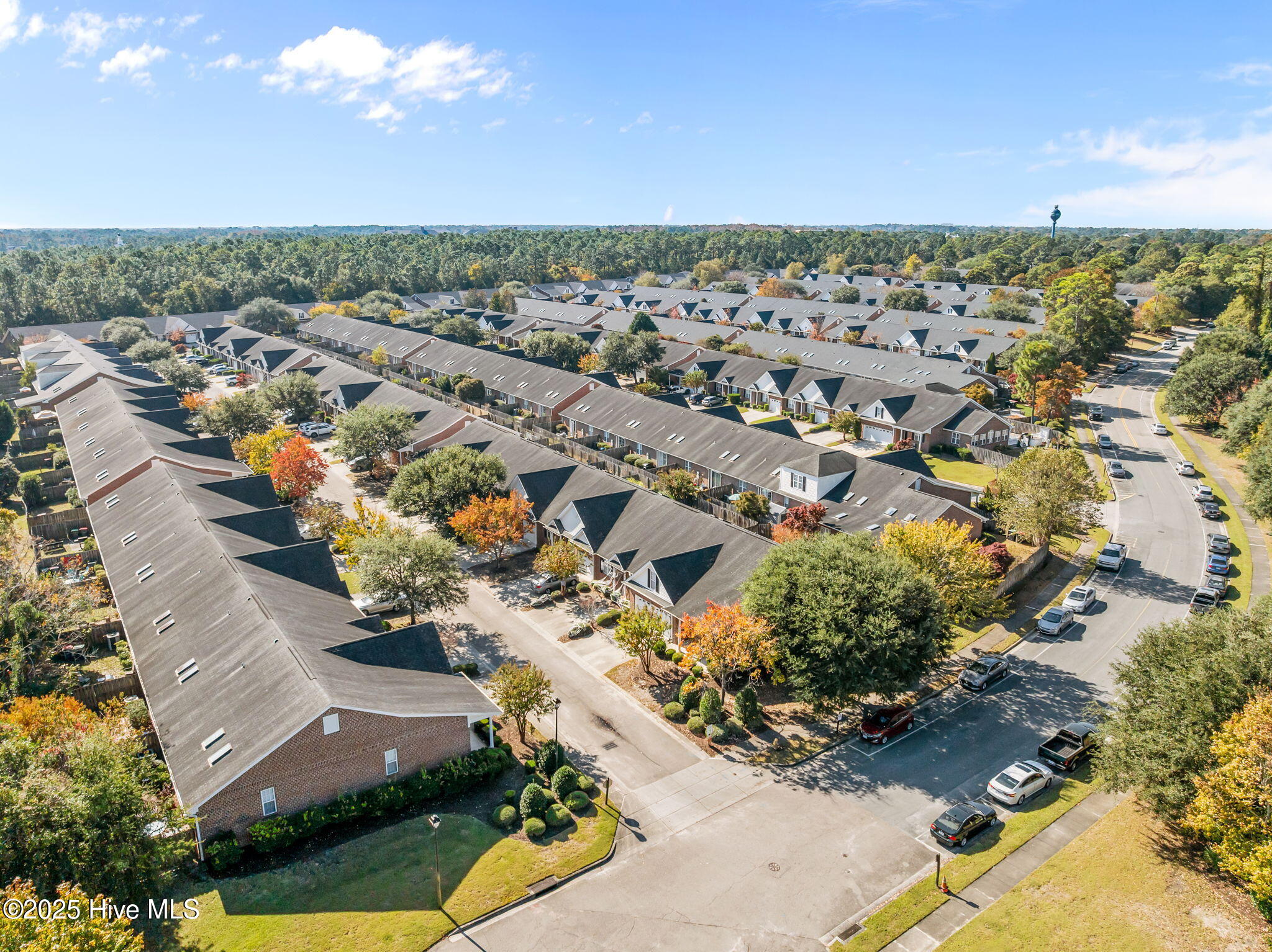 100540244 | Photo 54