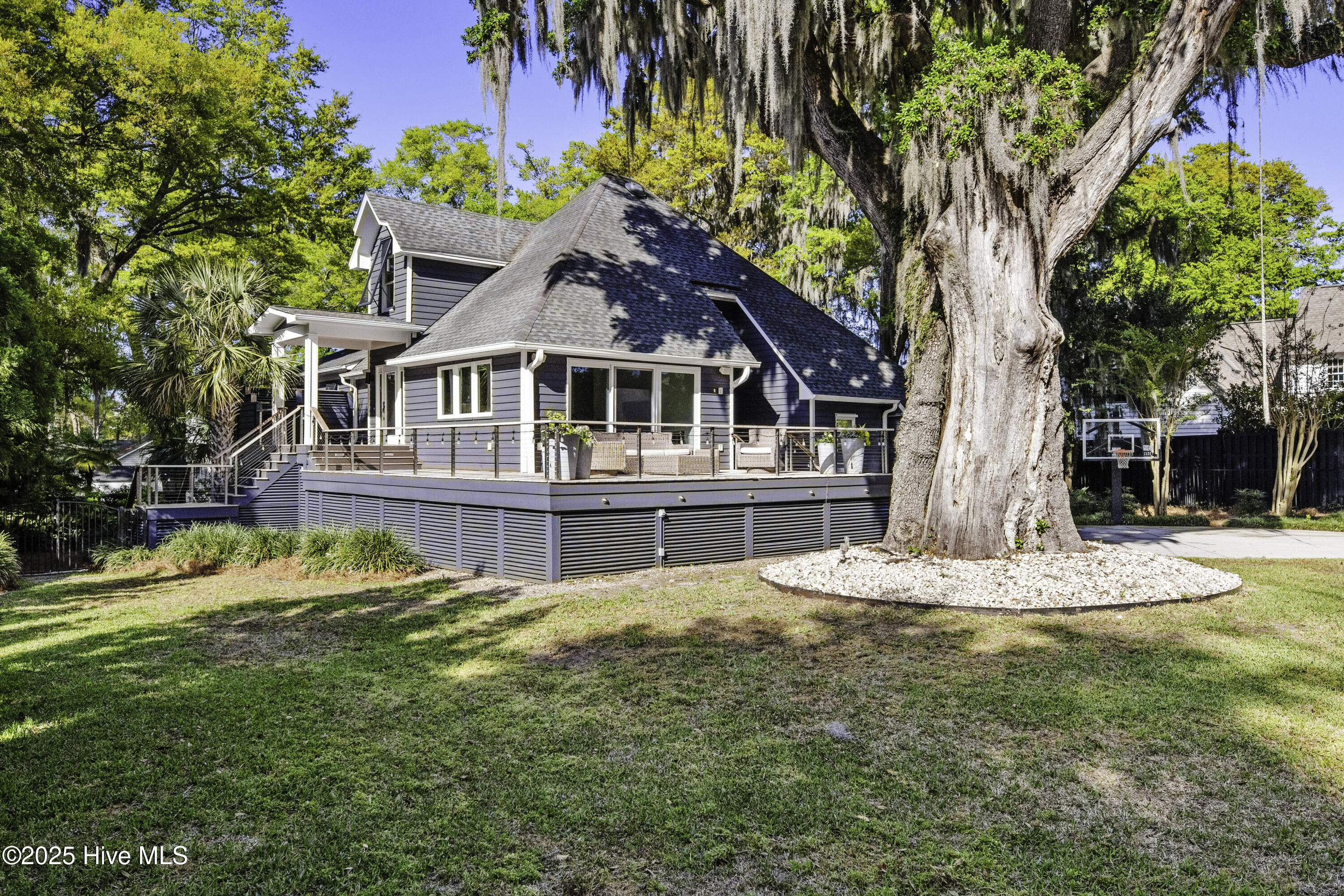 100555228 | Photo 63