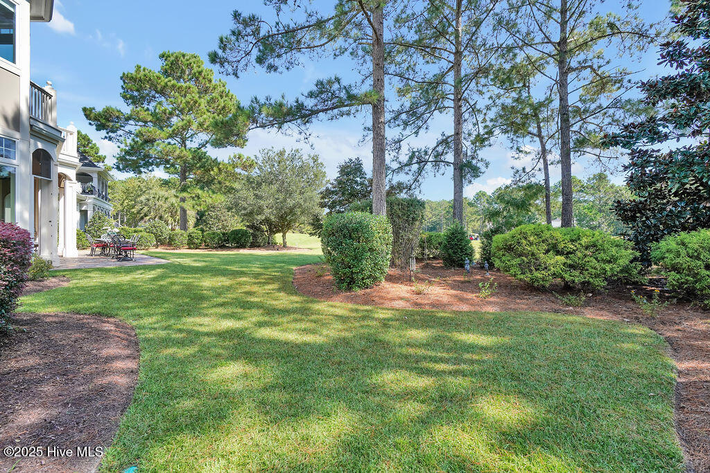 100535984 | Photo 65