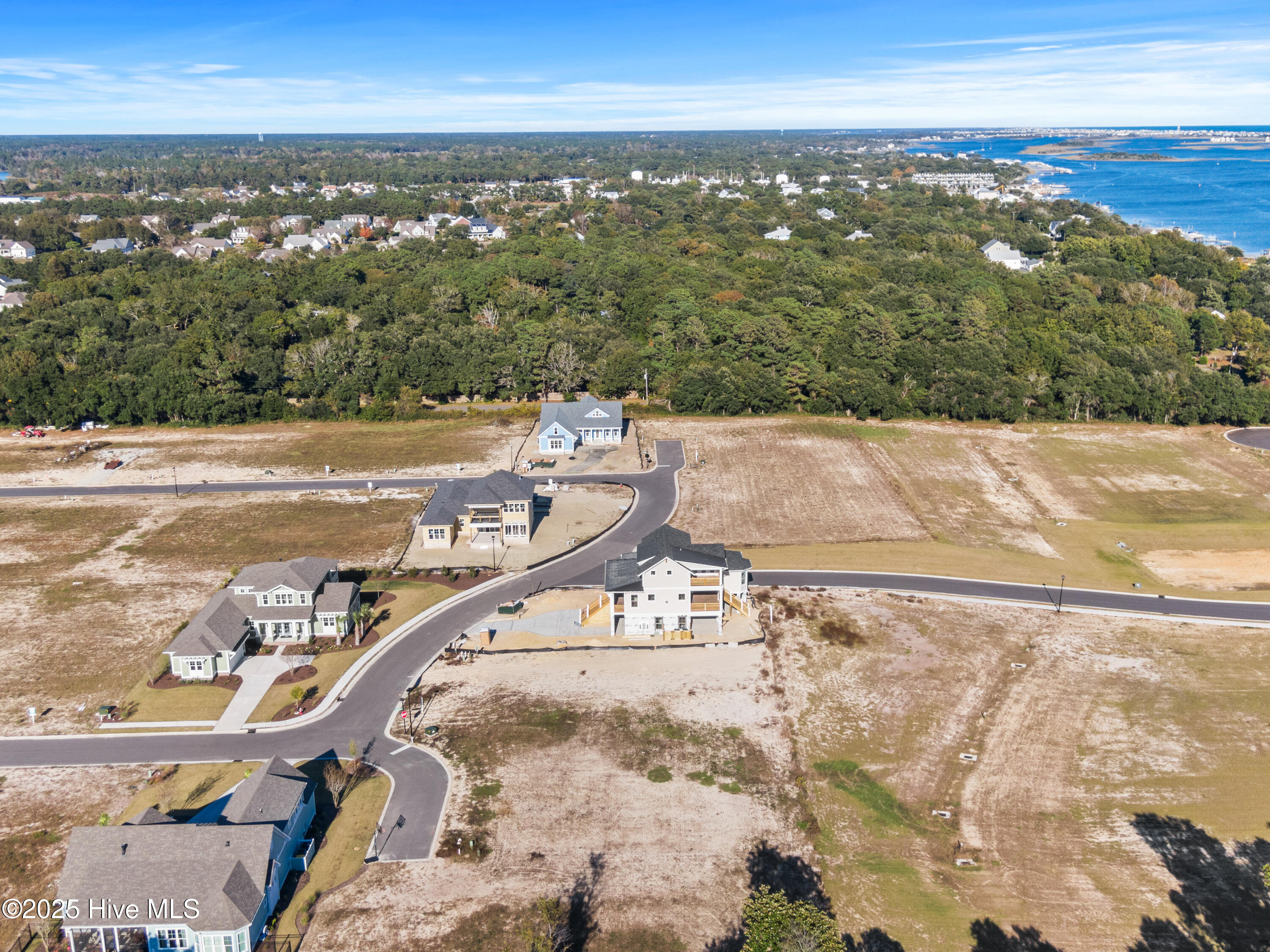 100539733 | Photo 10