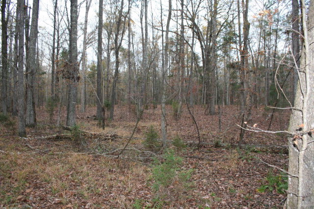 Double Branches Road, Lincolnton, GA 30817 Listing Photo  20