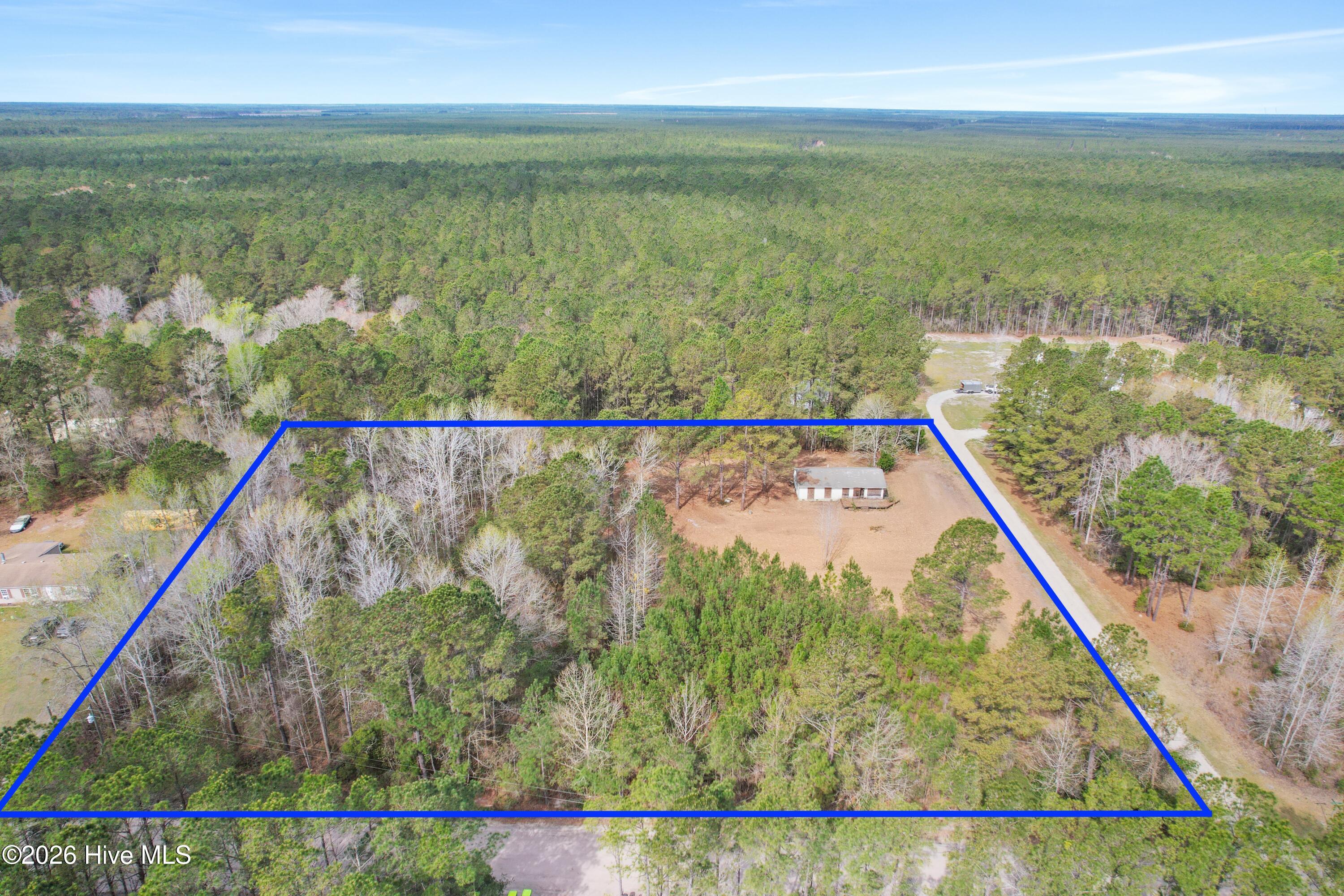 100563116 | Photo 11