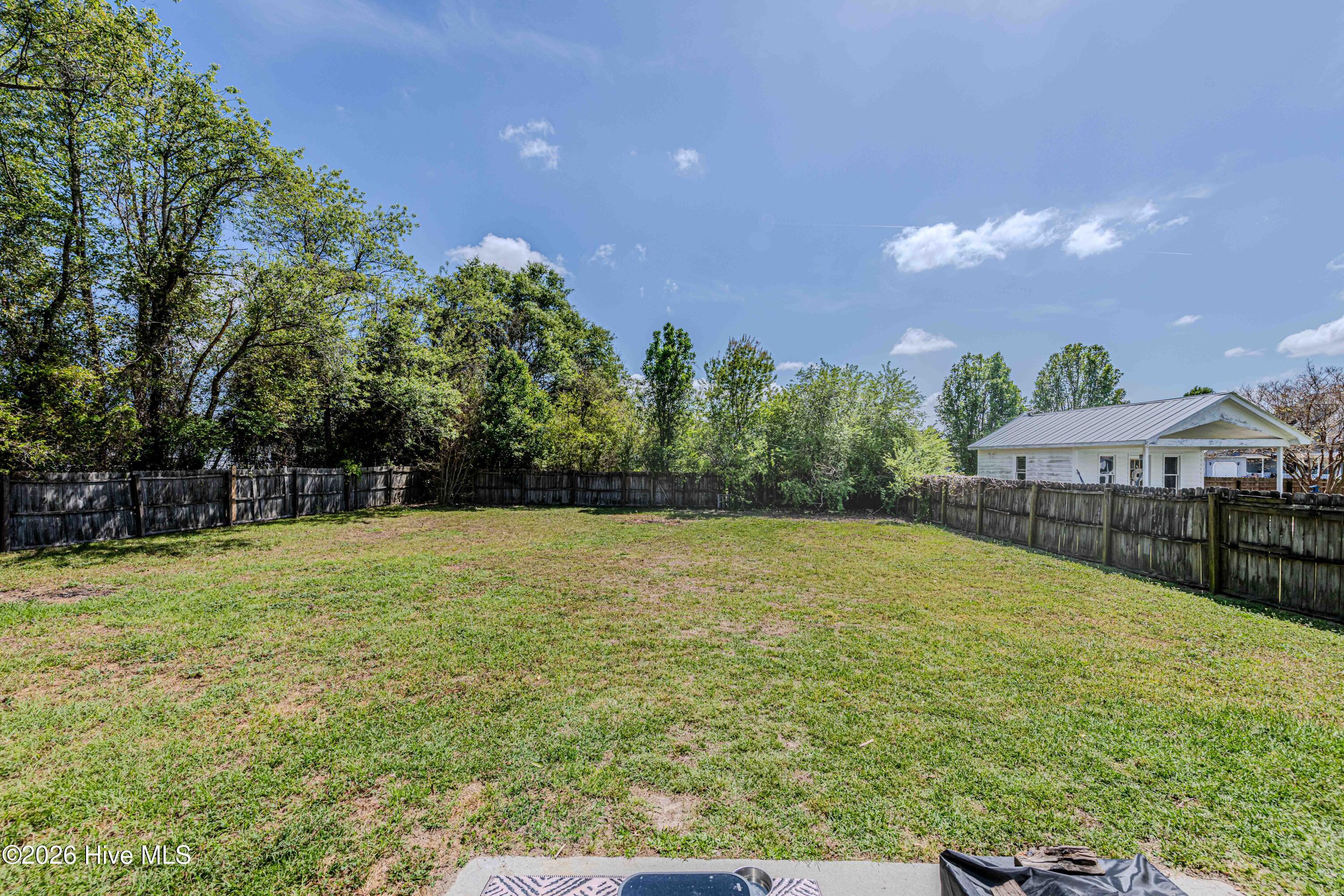 100567742 | Photo 19